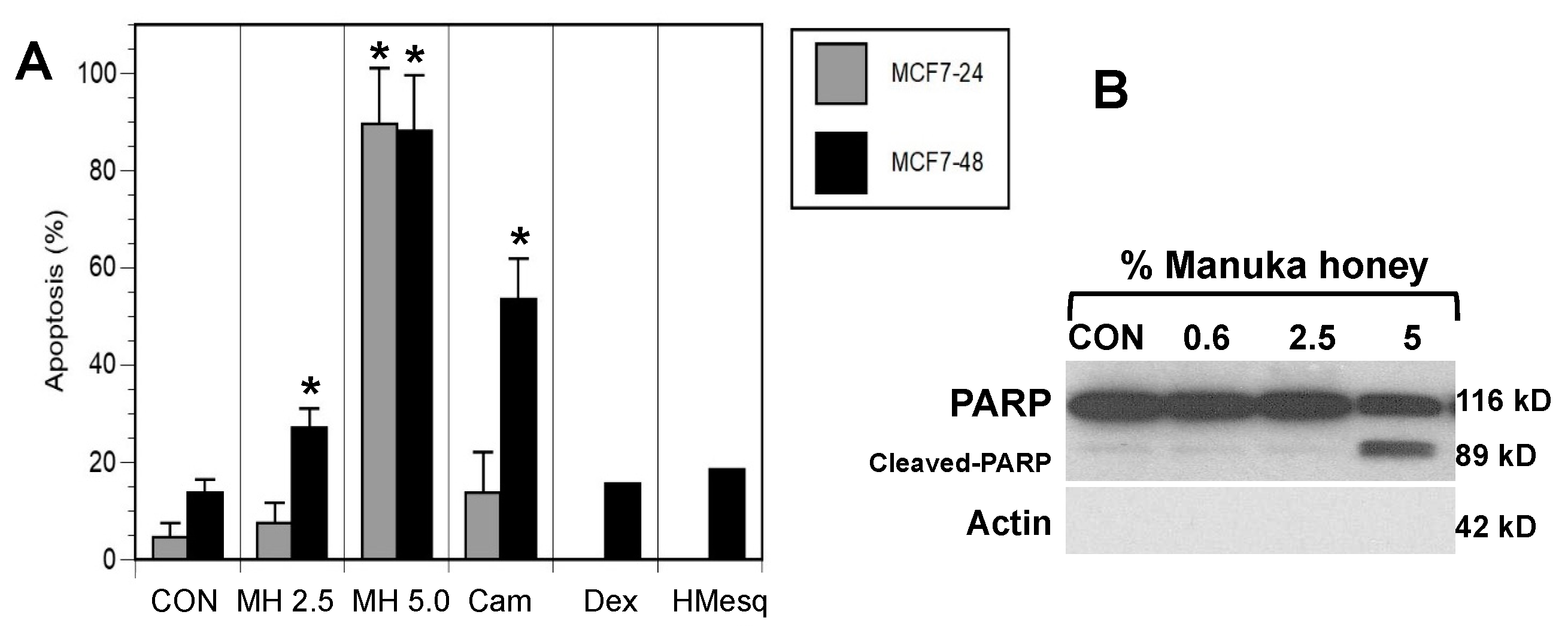 Preprints 109022 g002