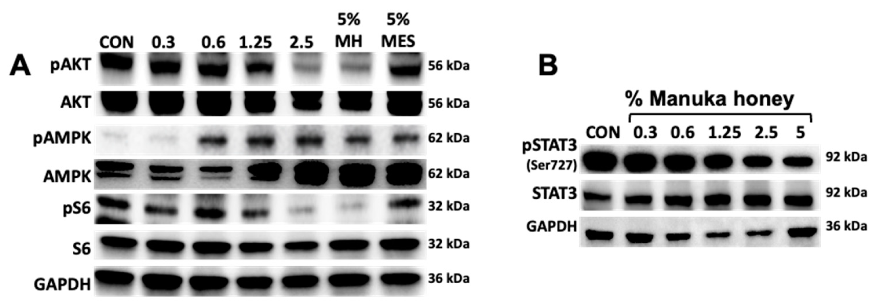 Preprints 109022 g003