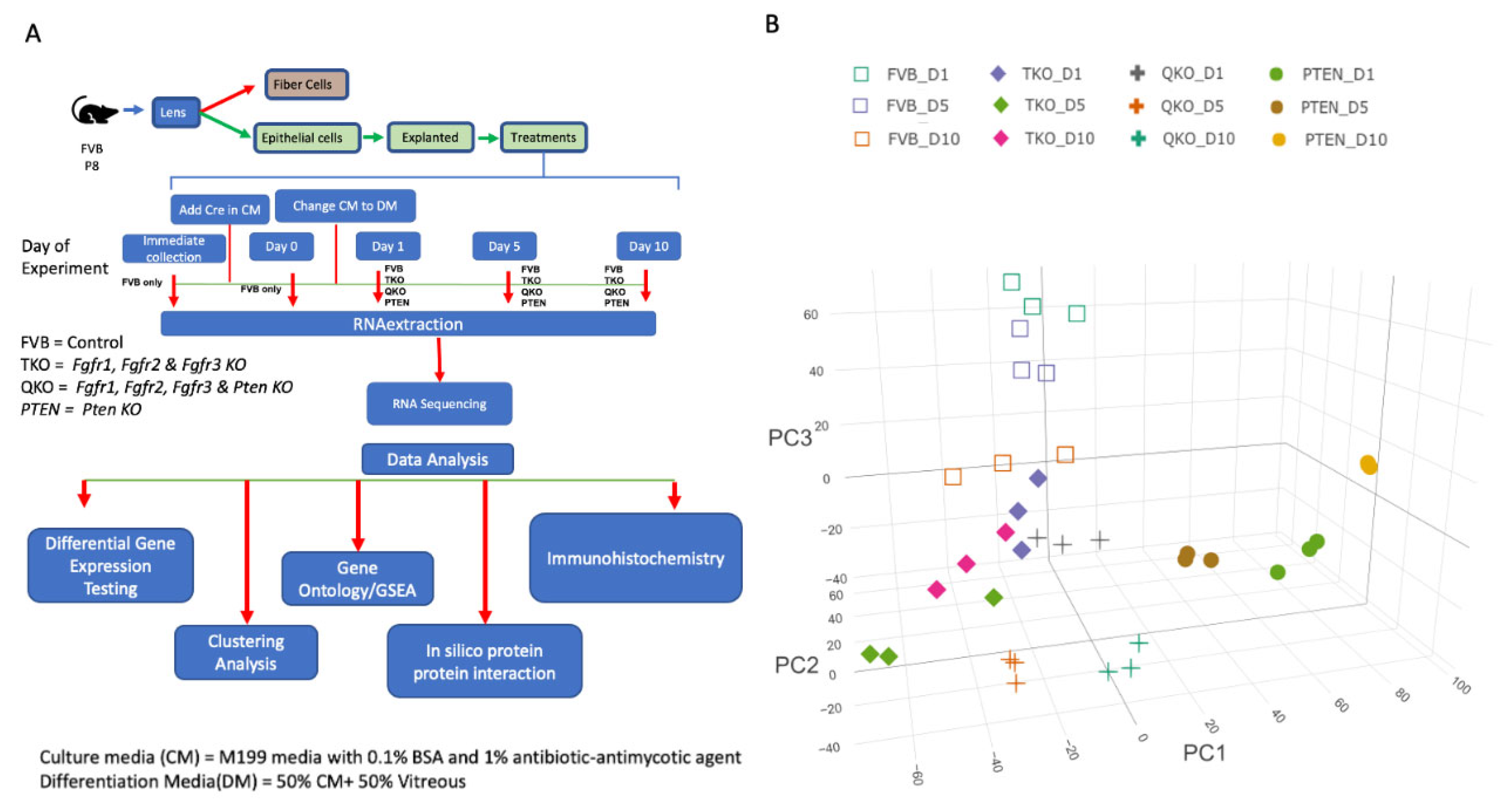 Preprints 104865 g001