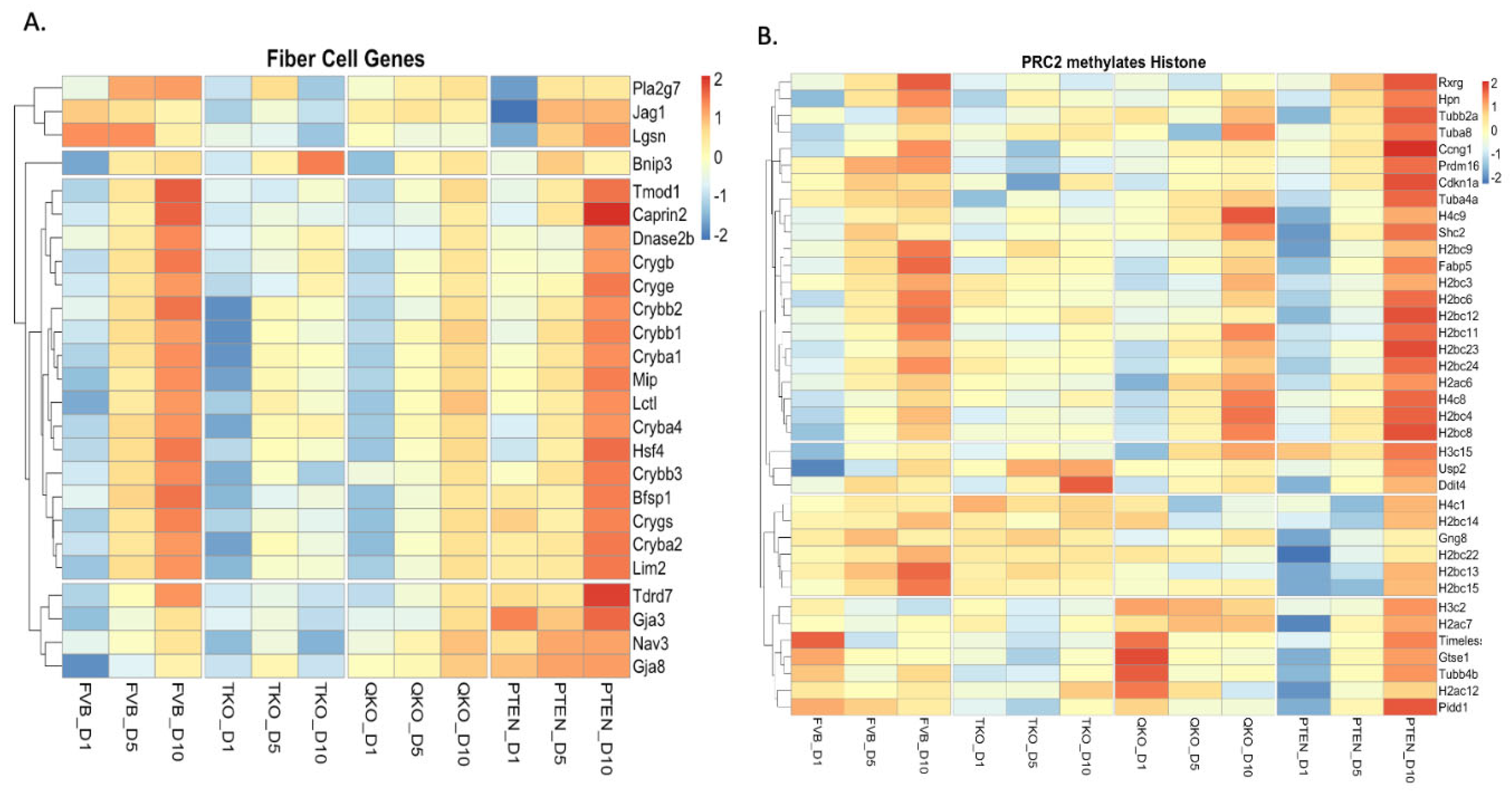 Preprints 104865 g003