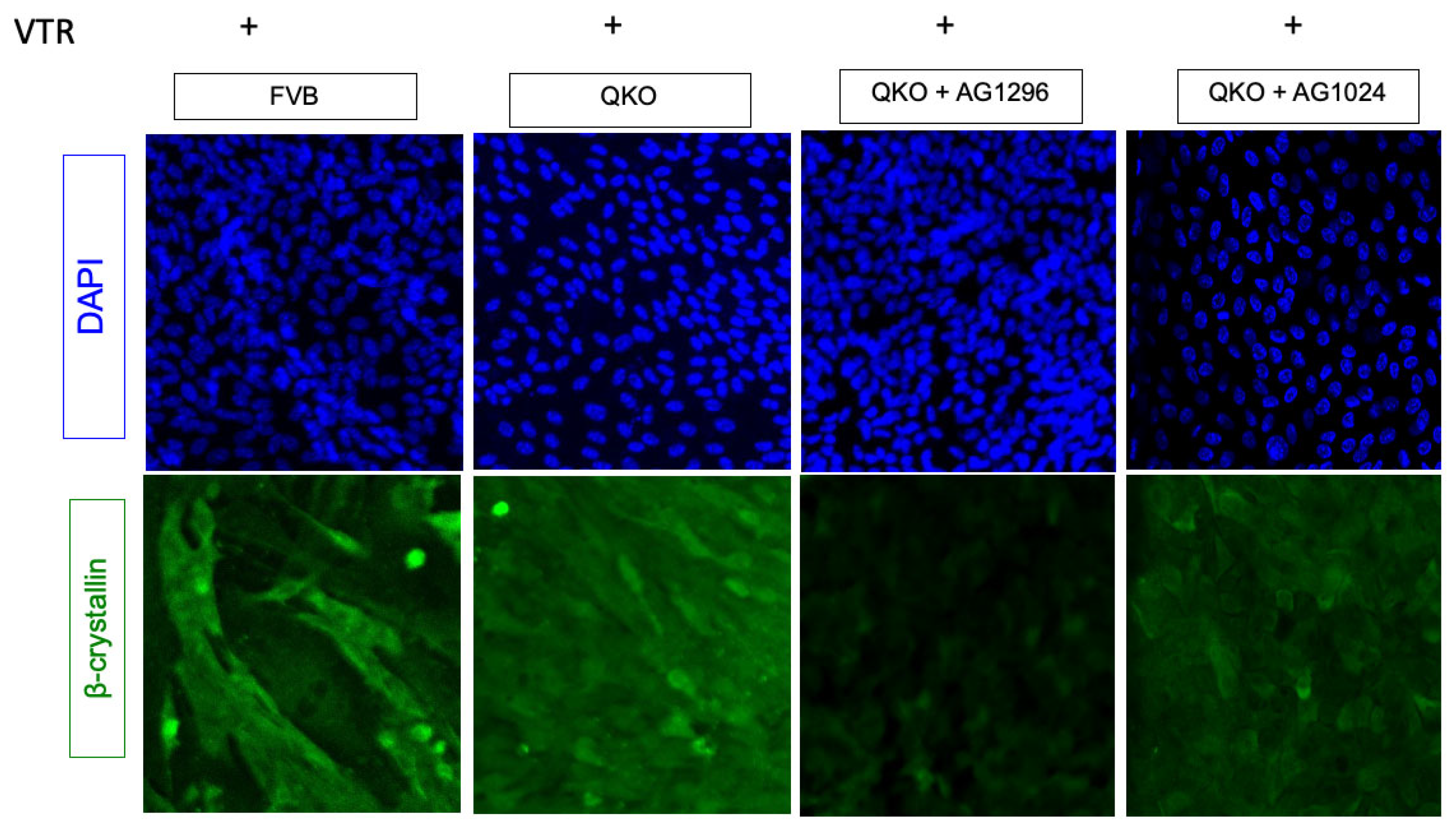 Preprints 104865 g007