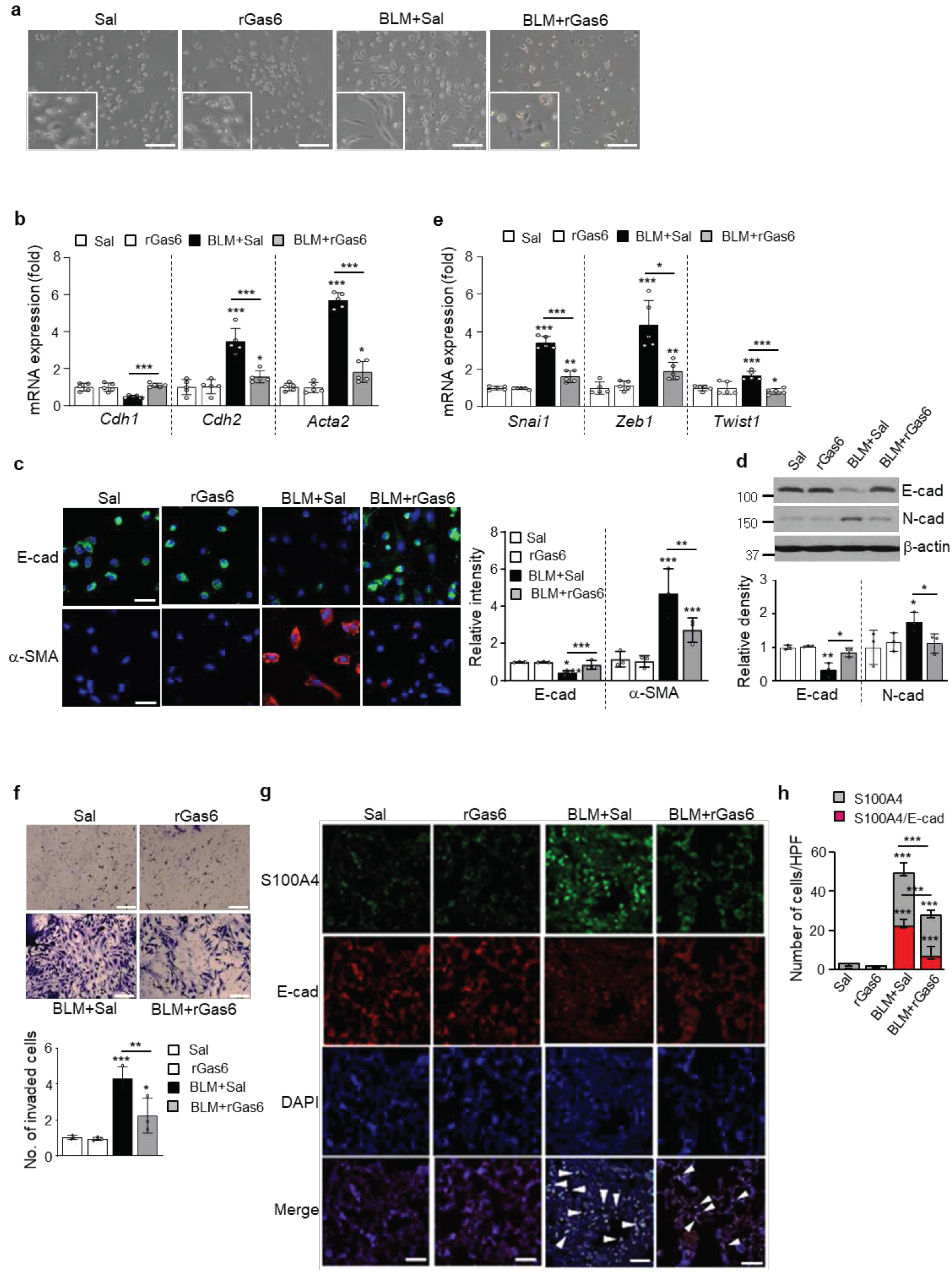 Preprints 86284 g001