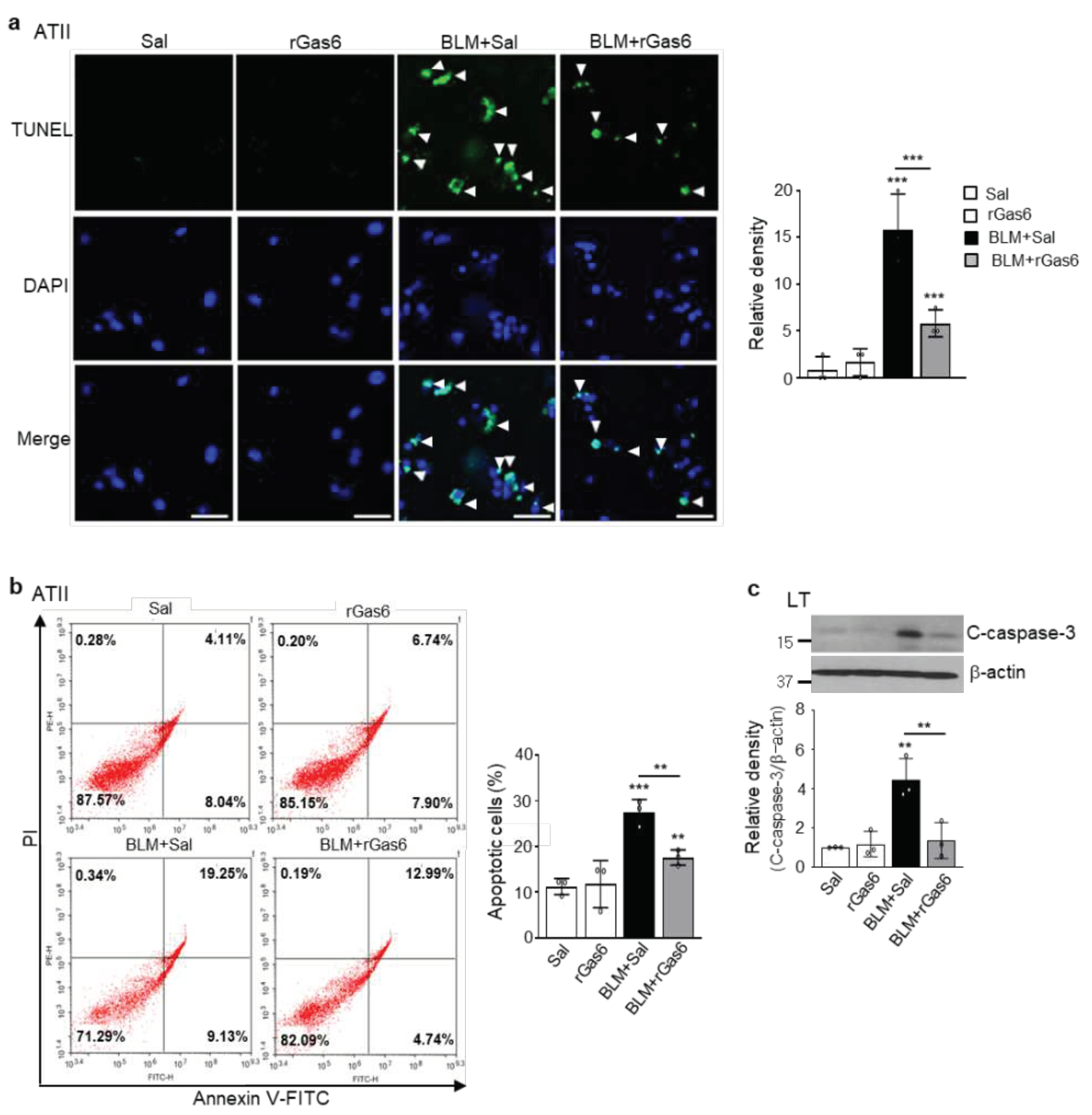 Preprints 86284 g002