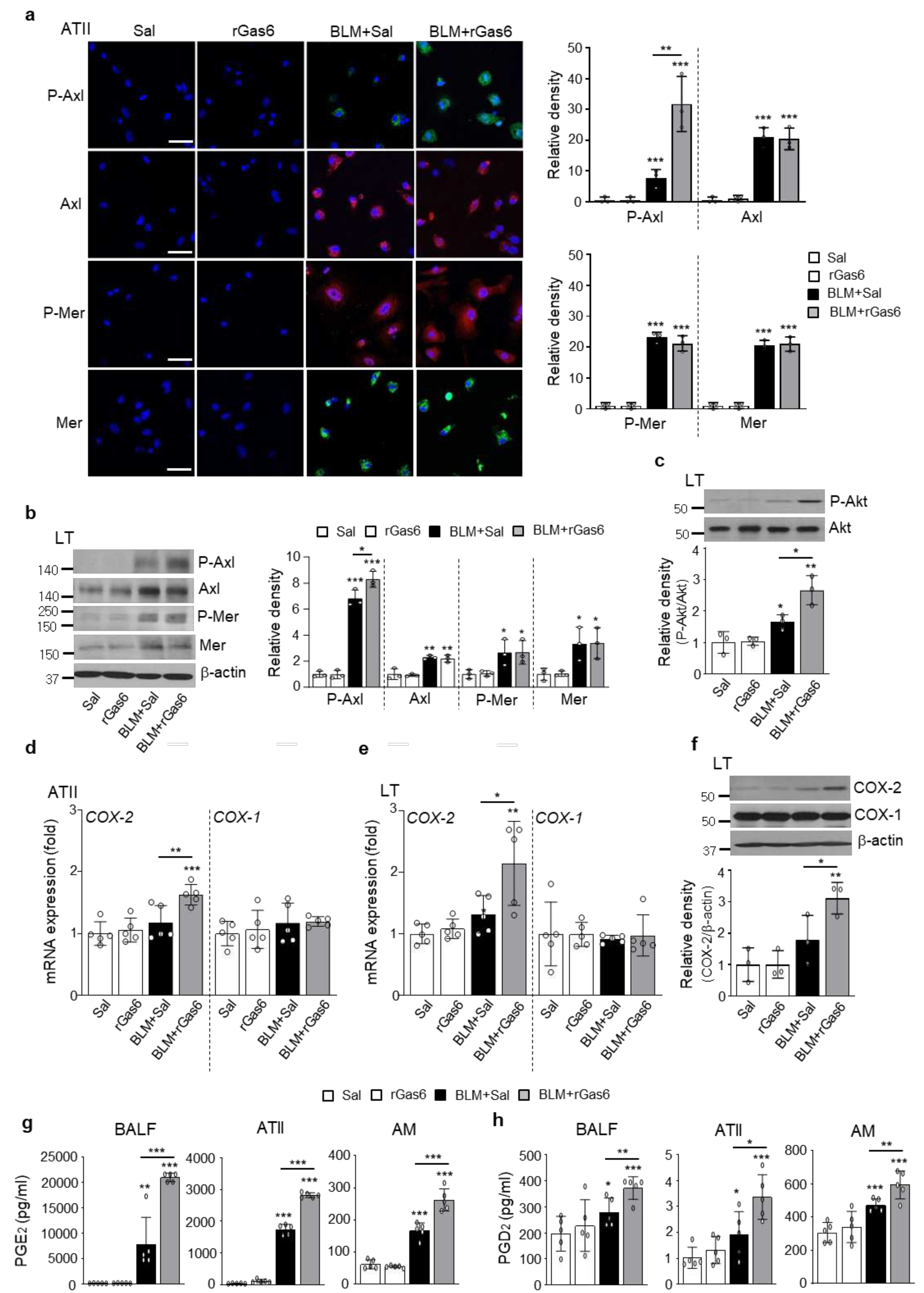 Preprints 86284 g005