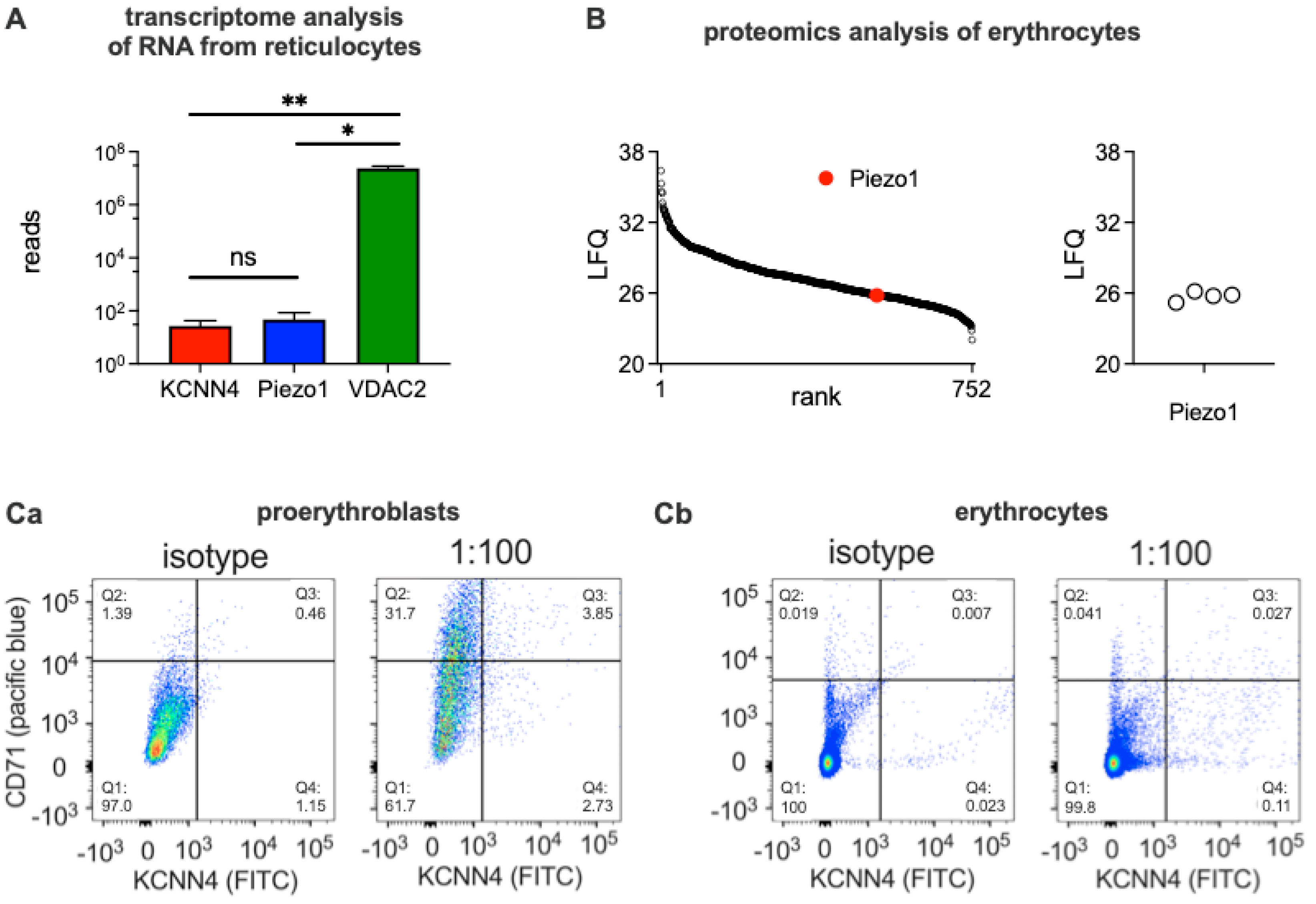 Preprints 87918 g001