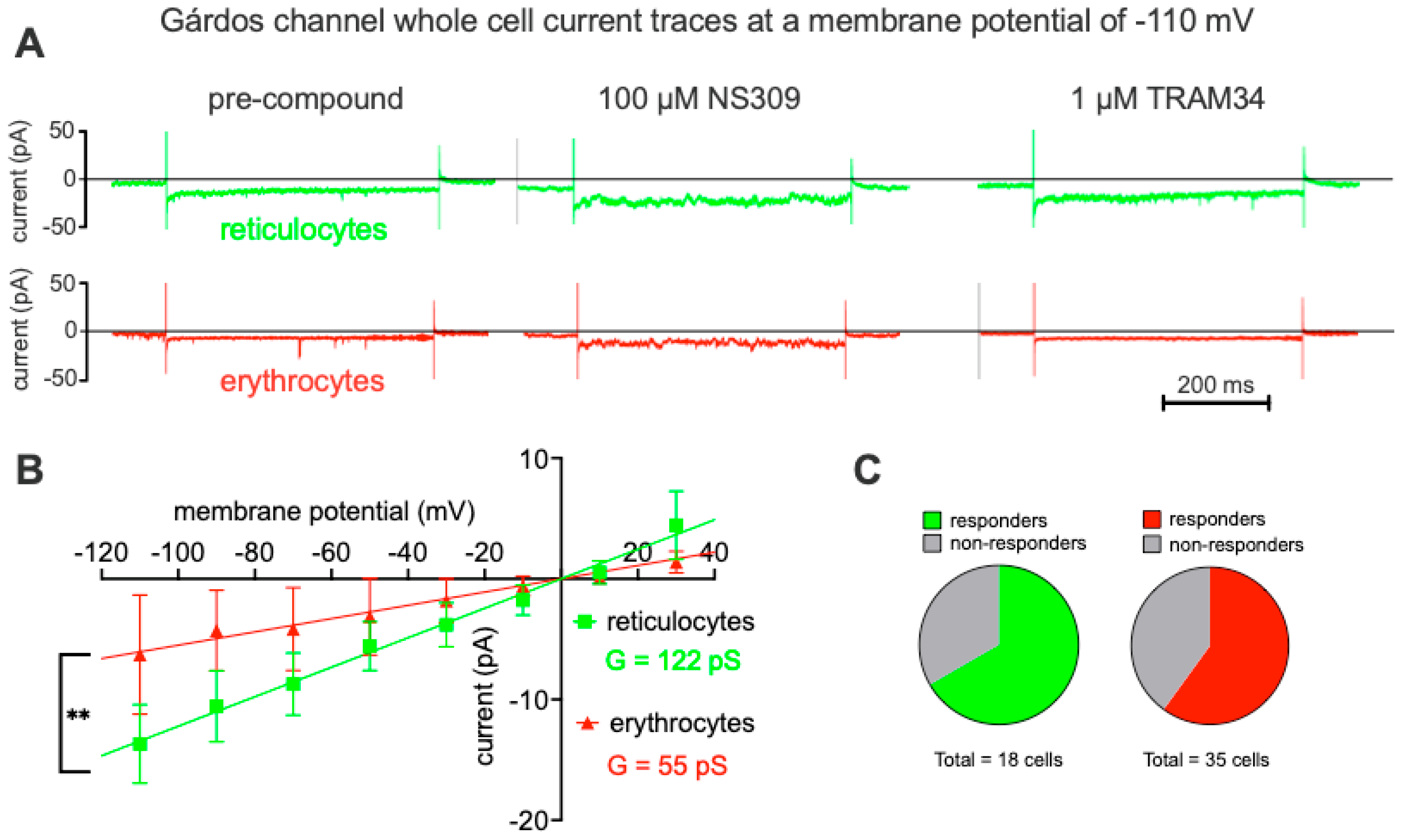 Preprints 87918 g003