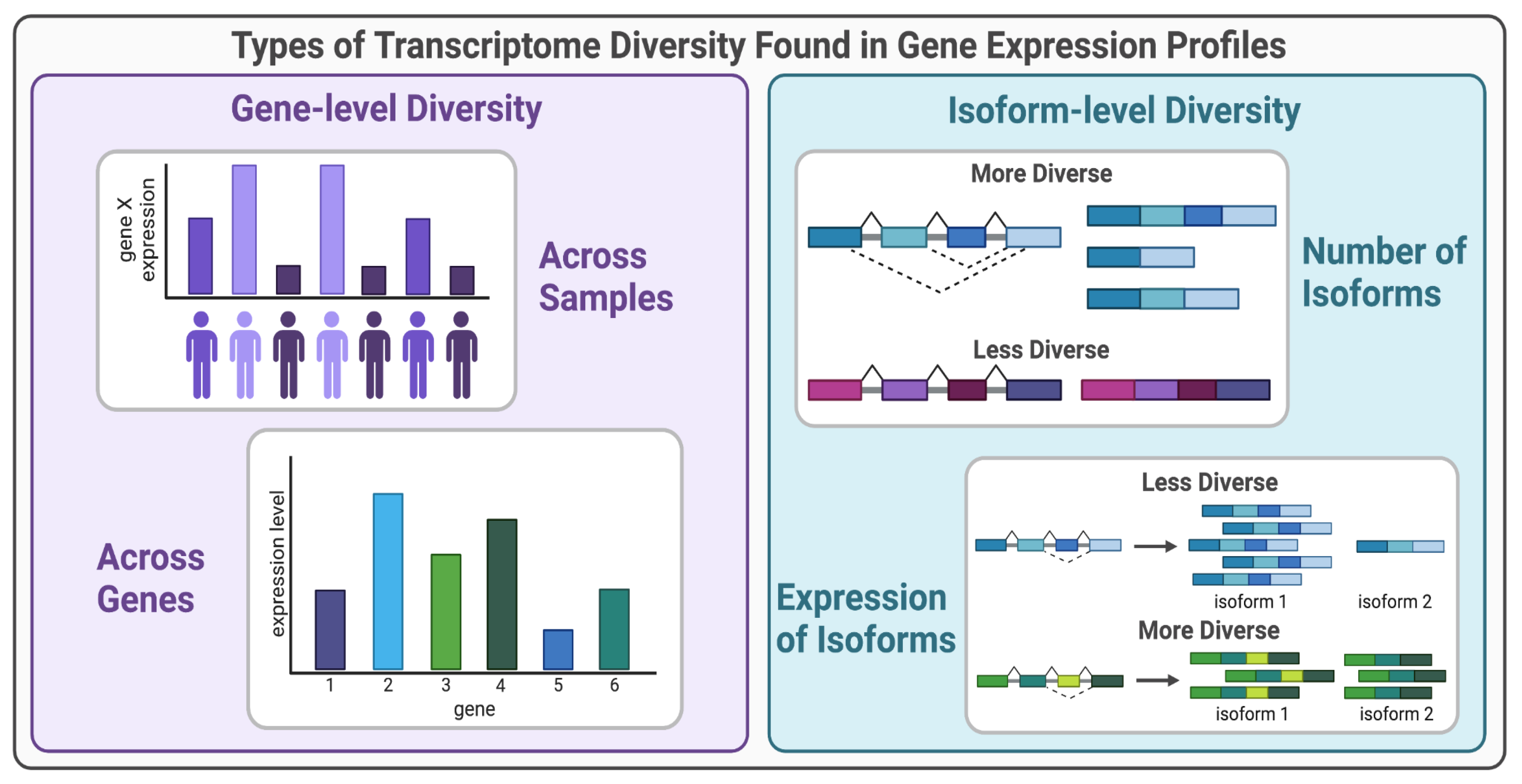 Preprints 70932 g001