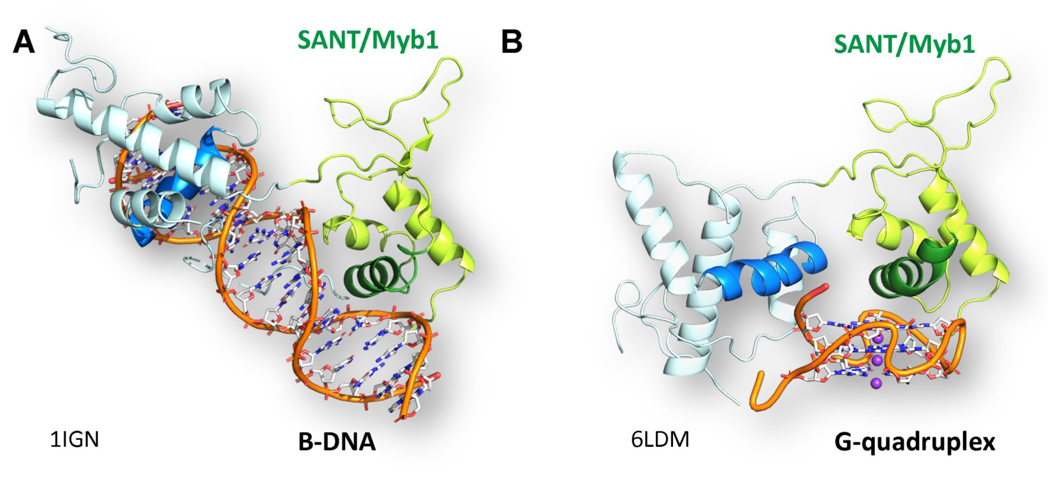 Preprints 116040 g002