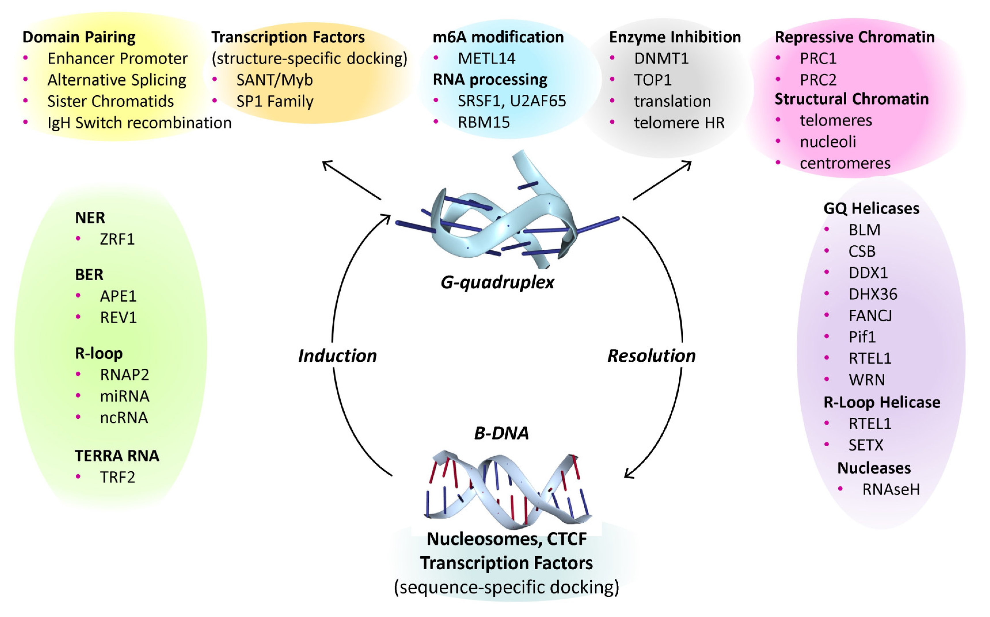 Preprints 116040 g003