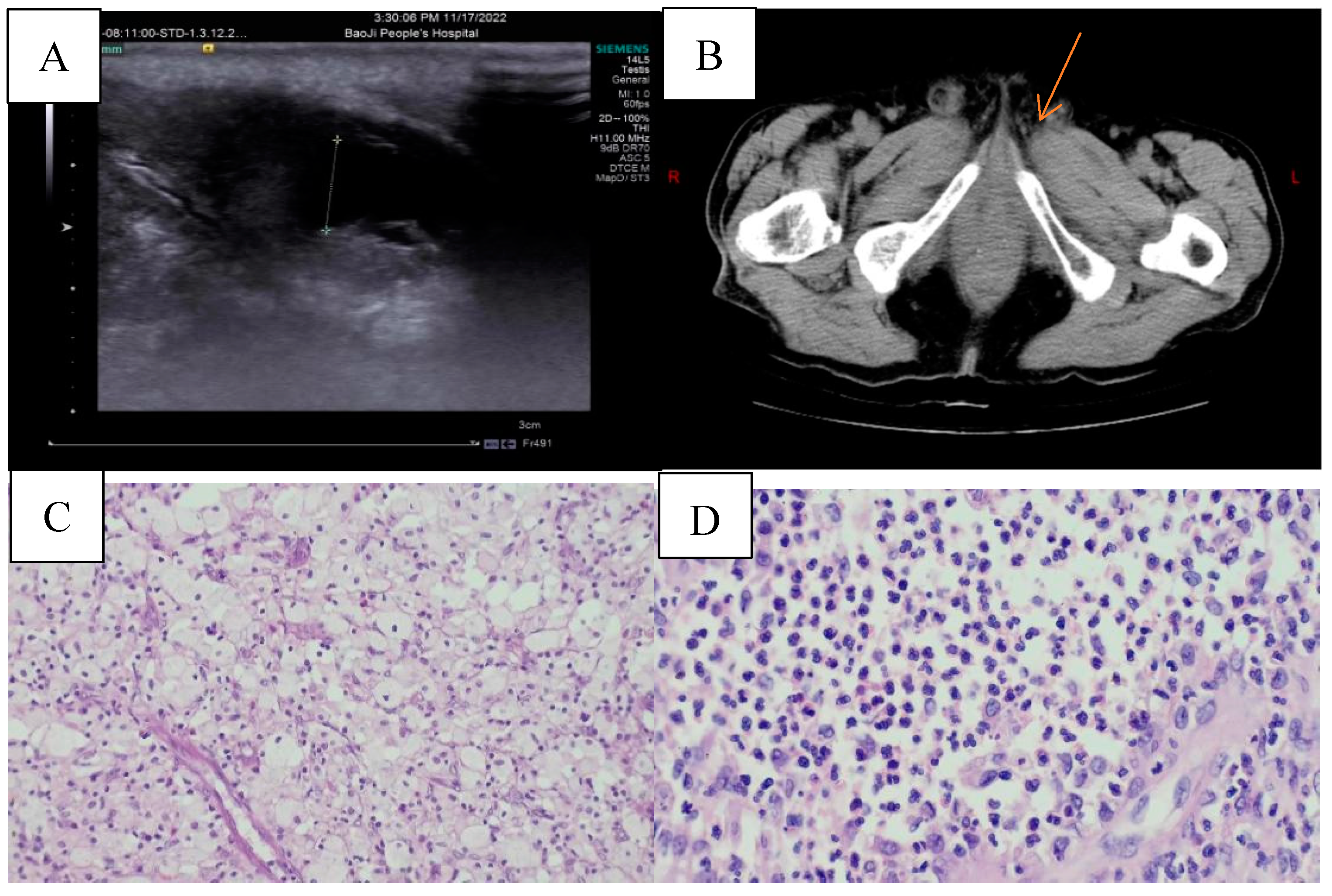 Preprints 97165 g001