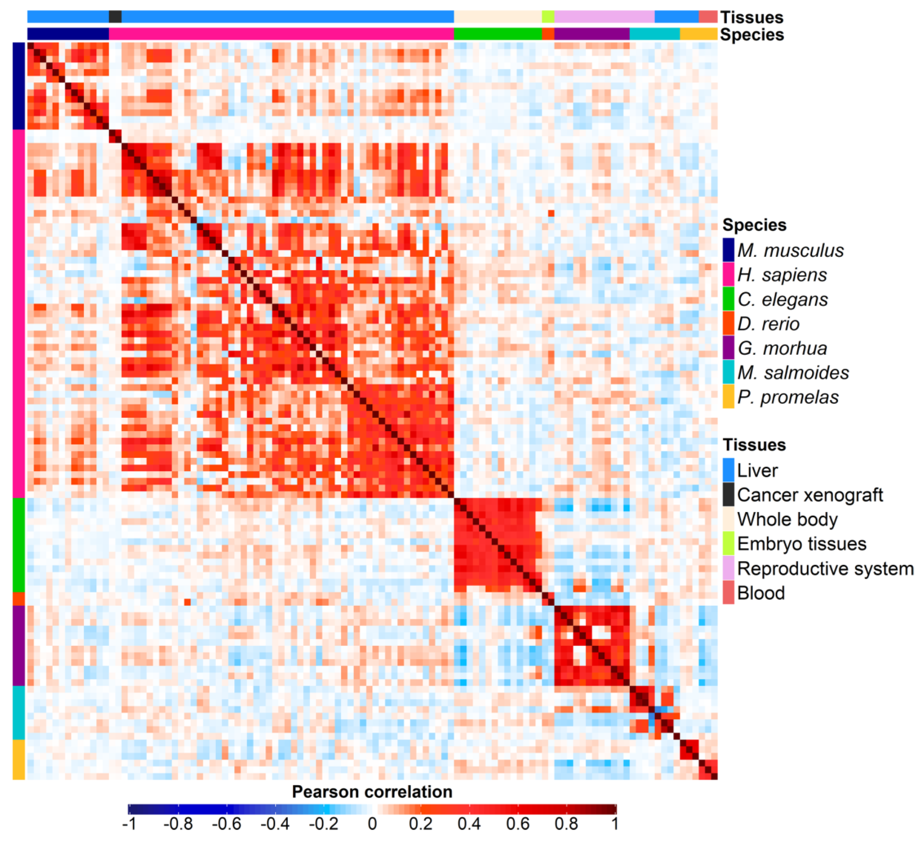 Preprints 76717 g001