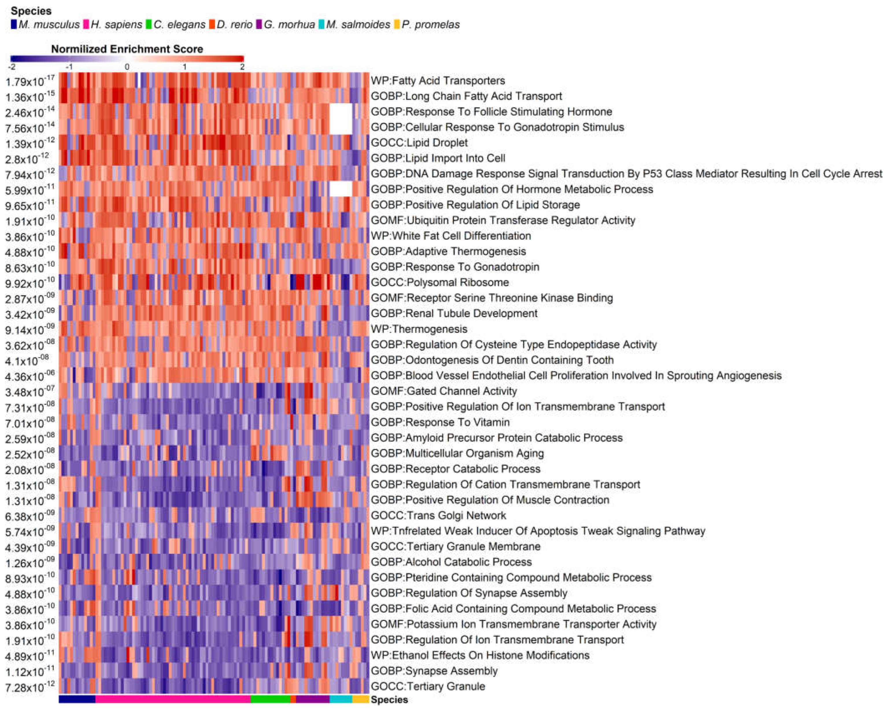 Preprints 76717 g006