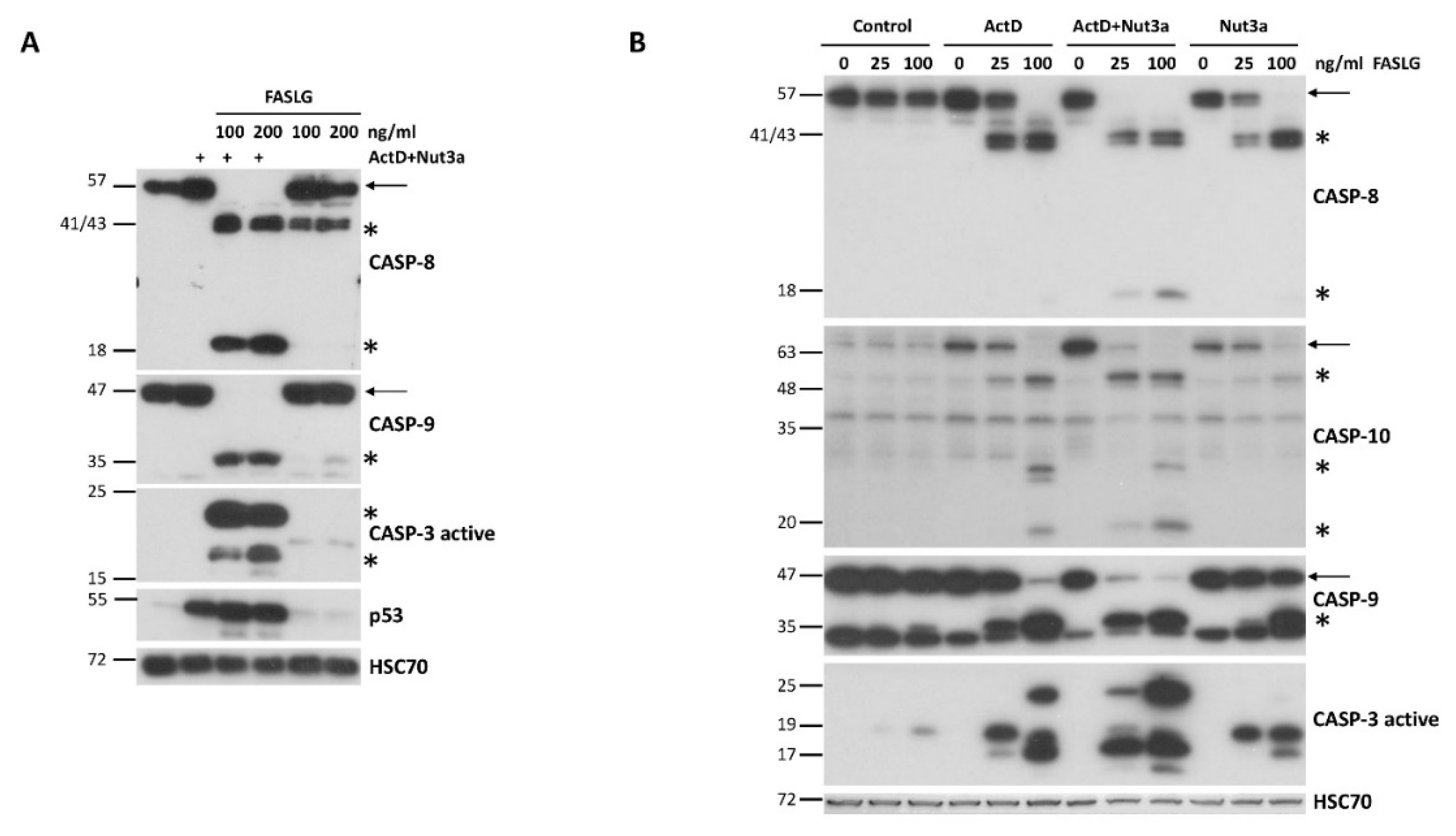 Preprints 104234 g001