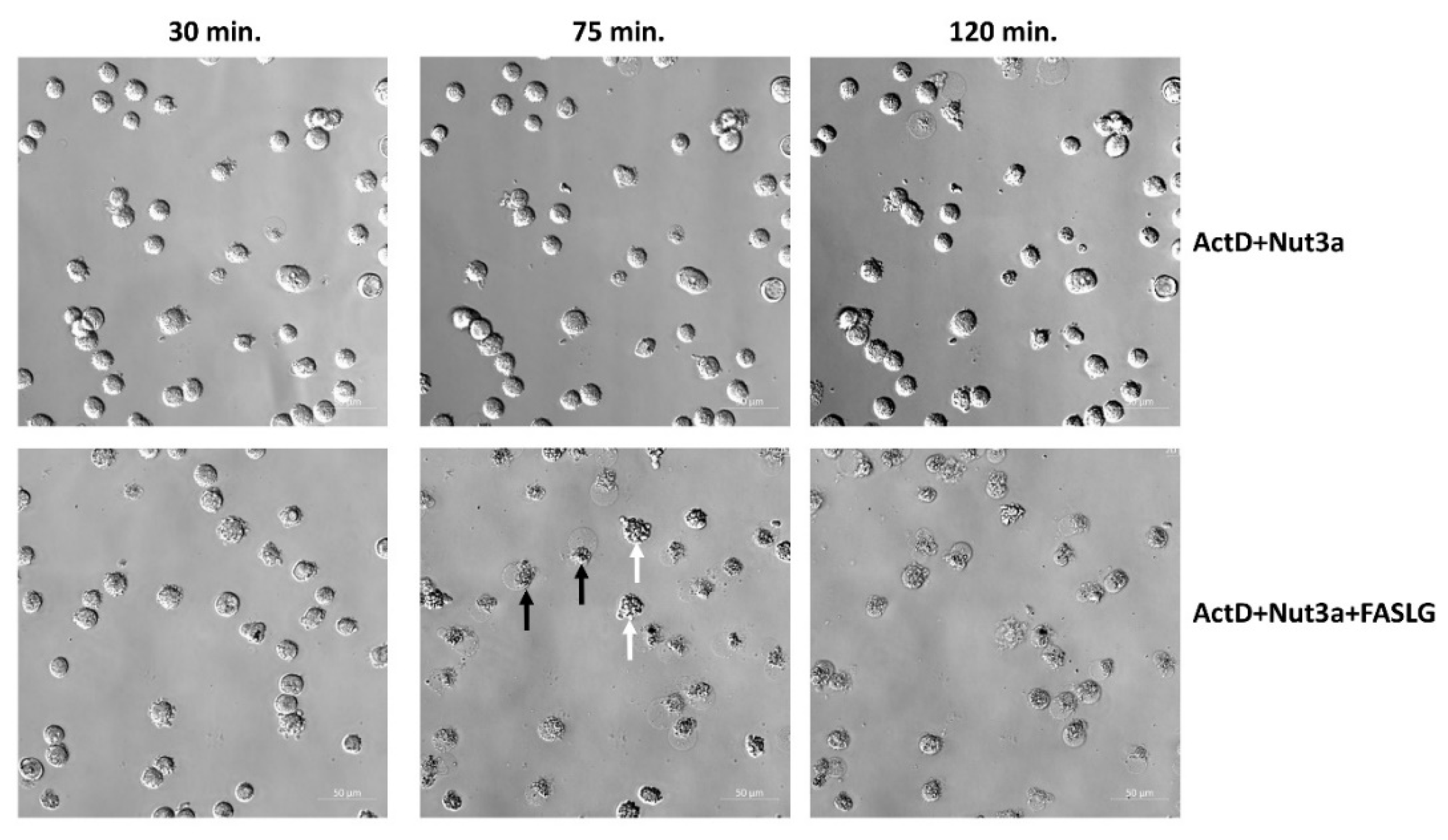 Preprints 104234 g002