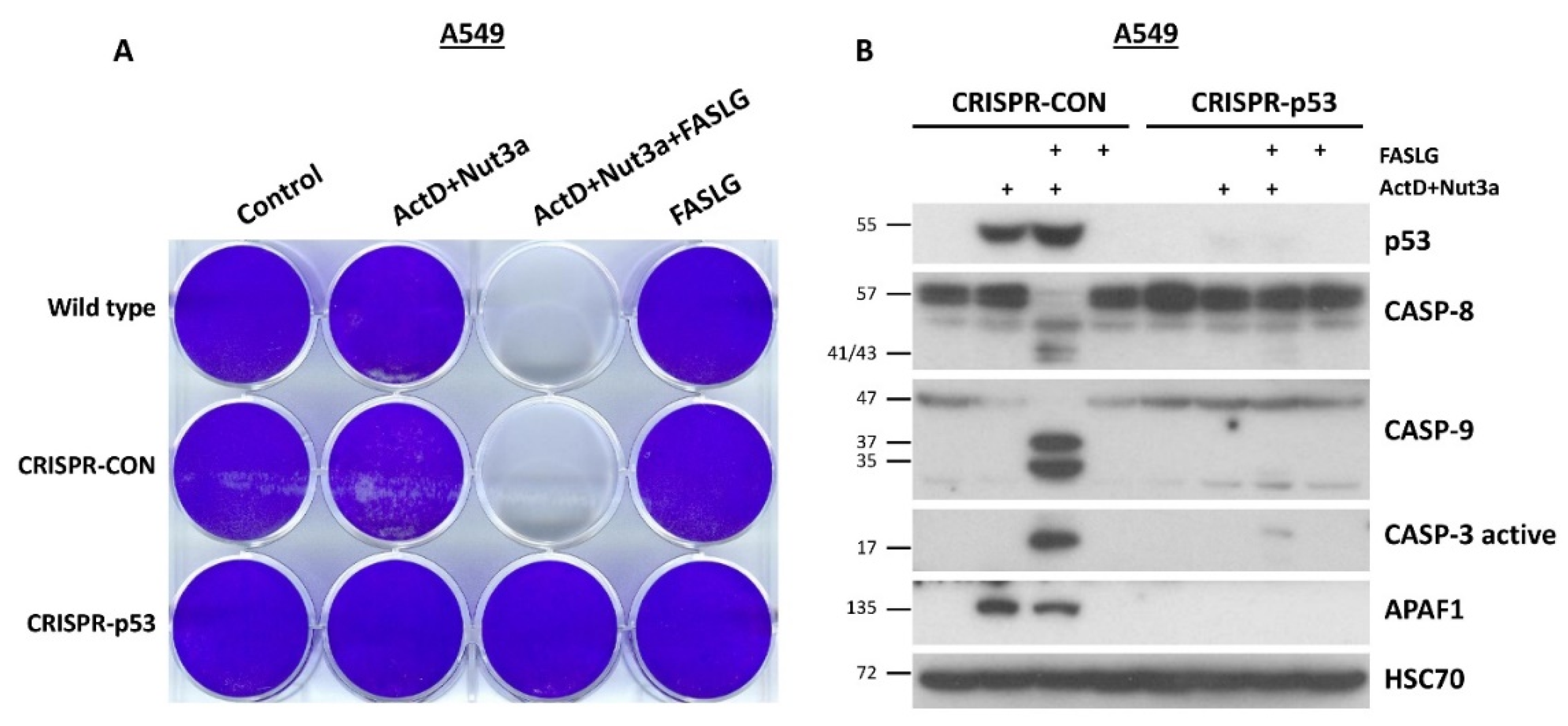 Preprints 104234 g004