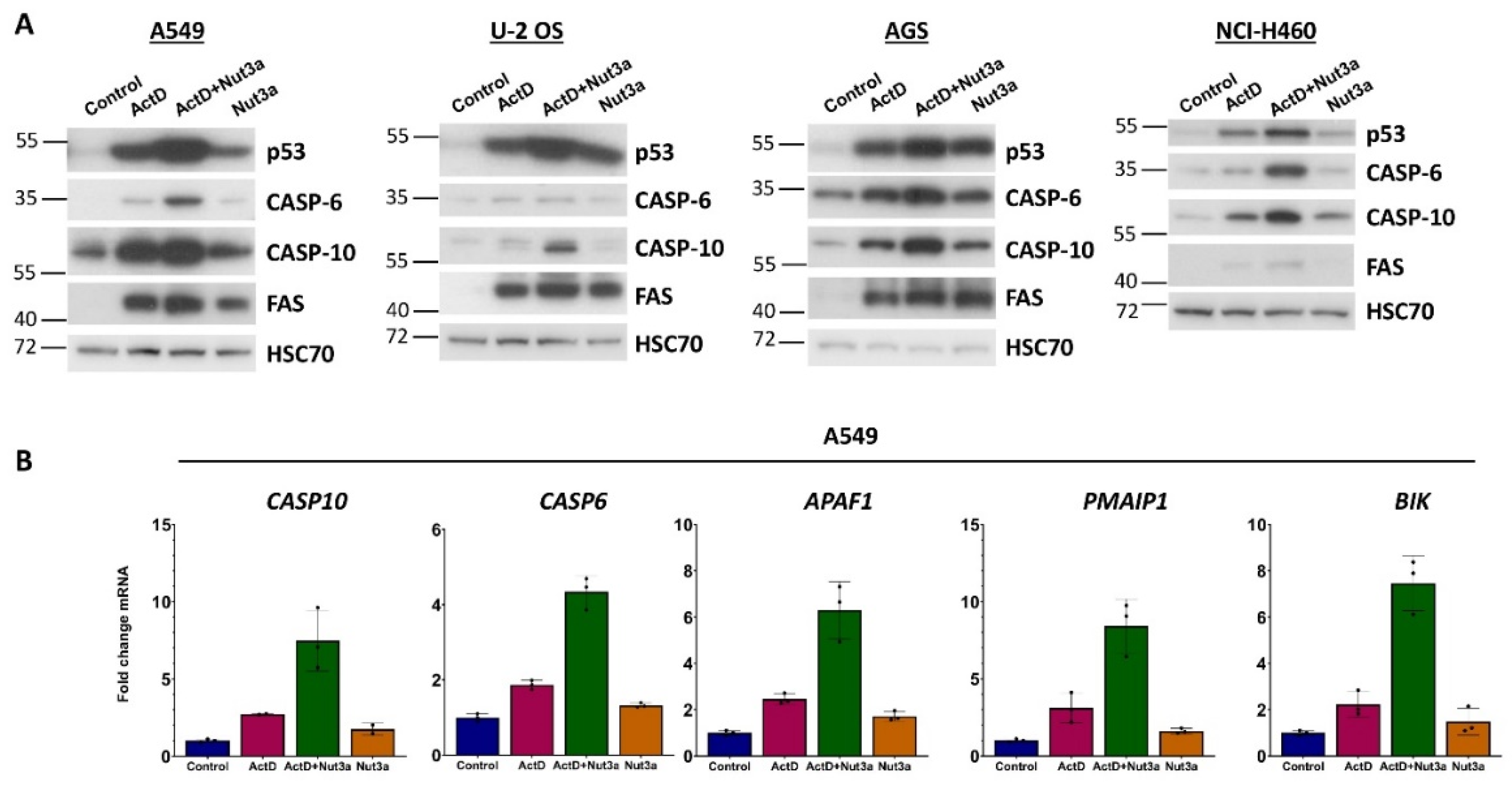 Preprints 104234 g007