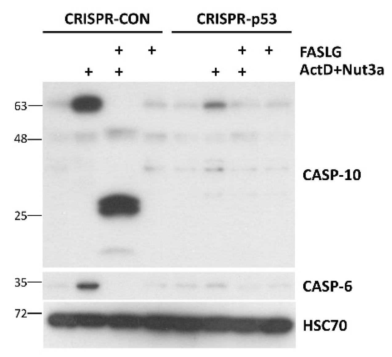 Preprints 104234 g008