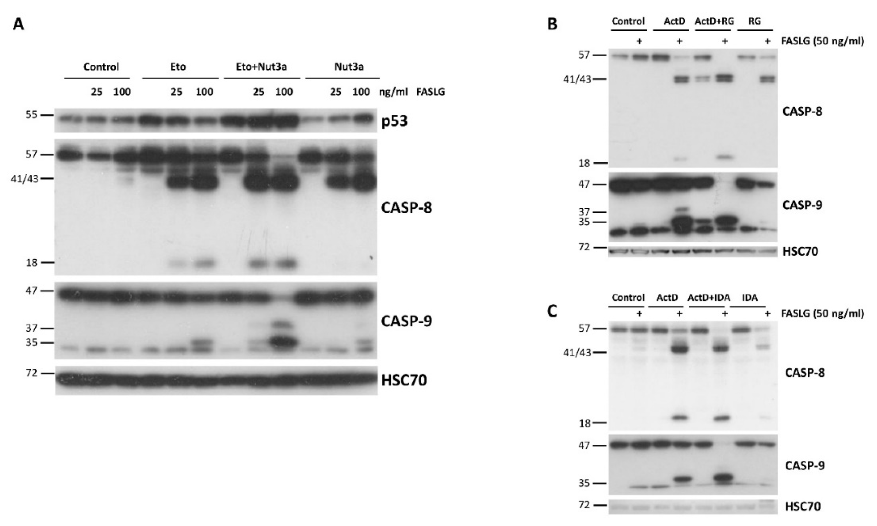 Preprints 104234 g009