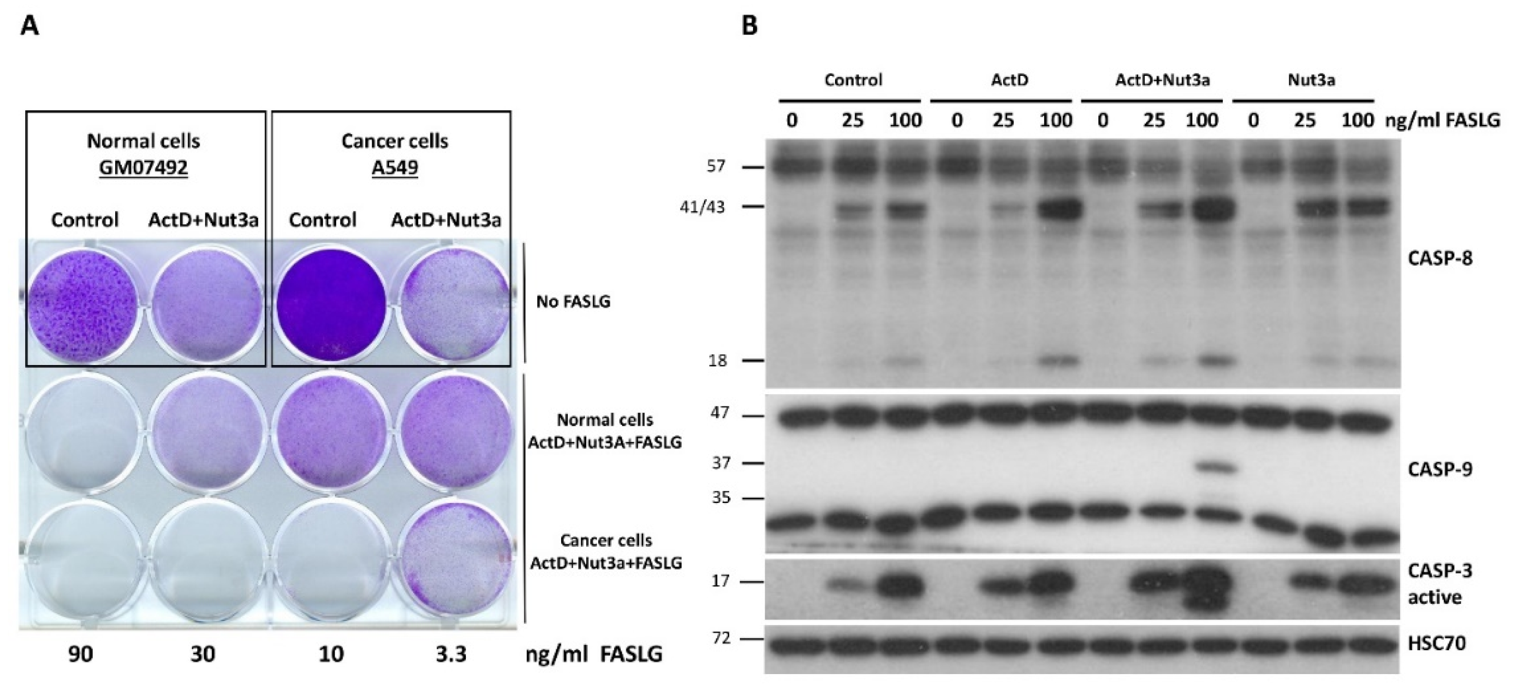 Preprints 104234 g010