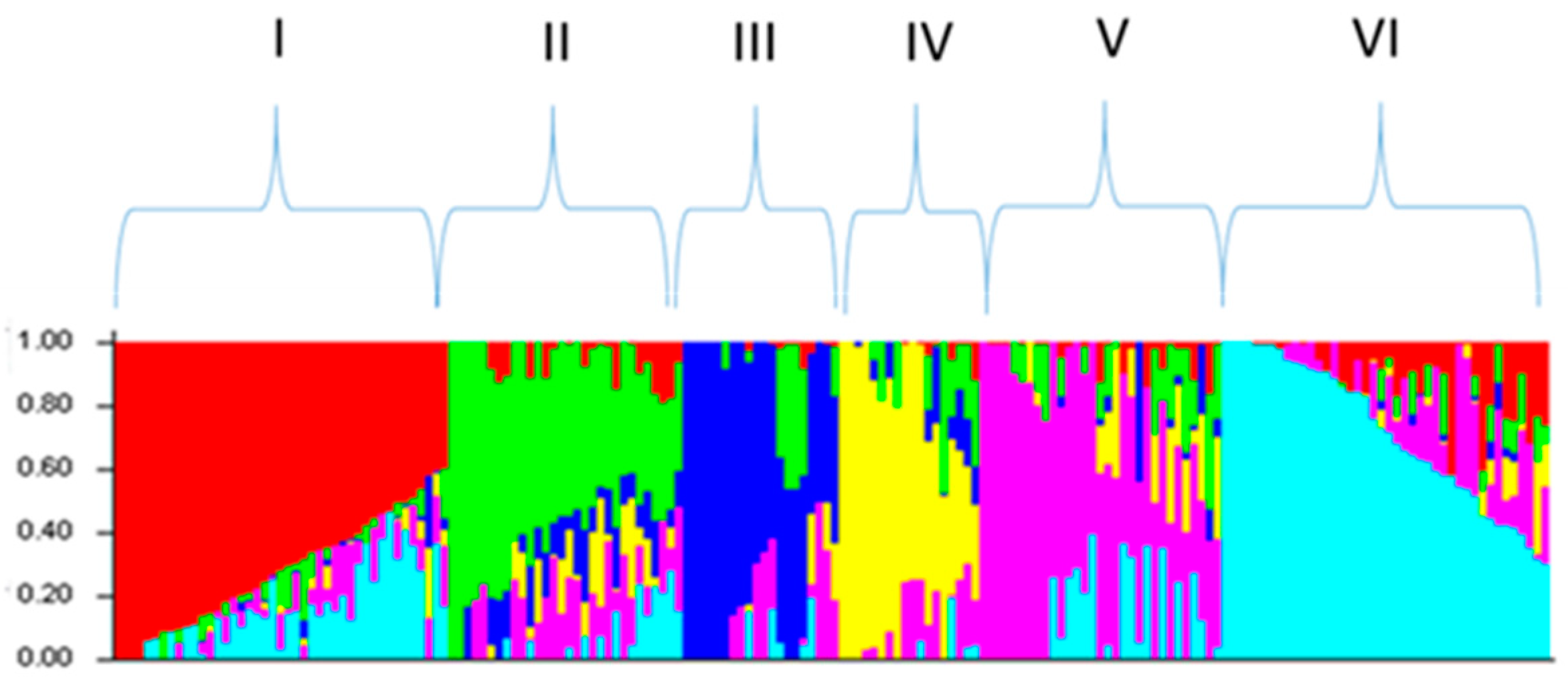 Preprints 100365 g001