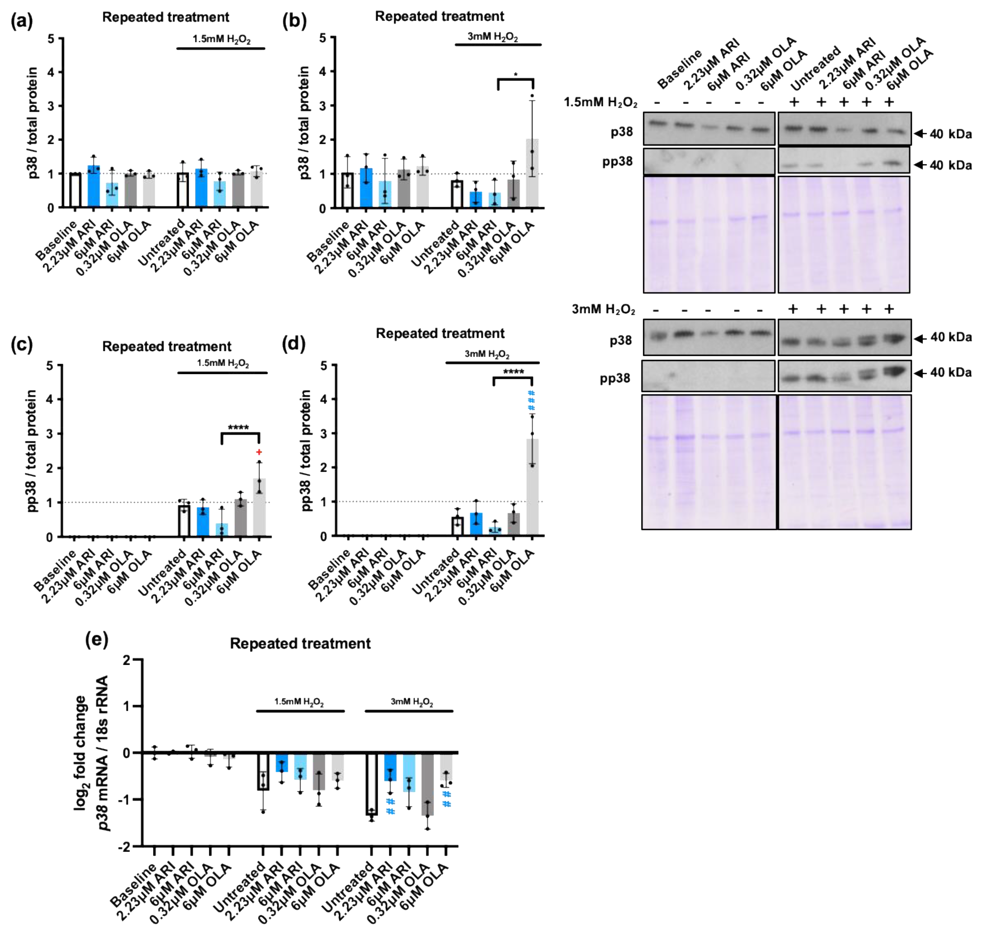 Preprints 110793 g004