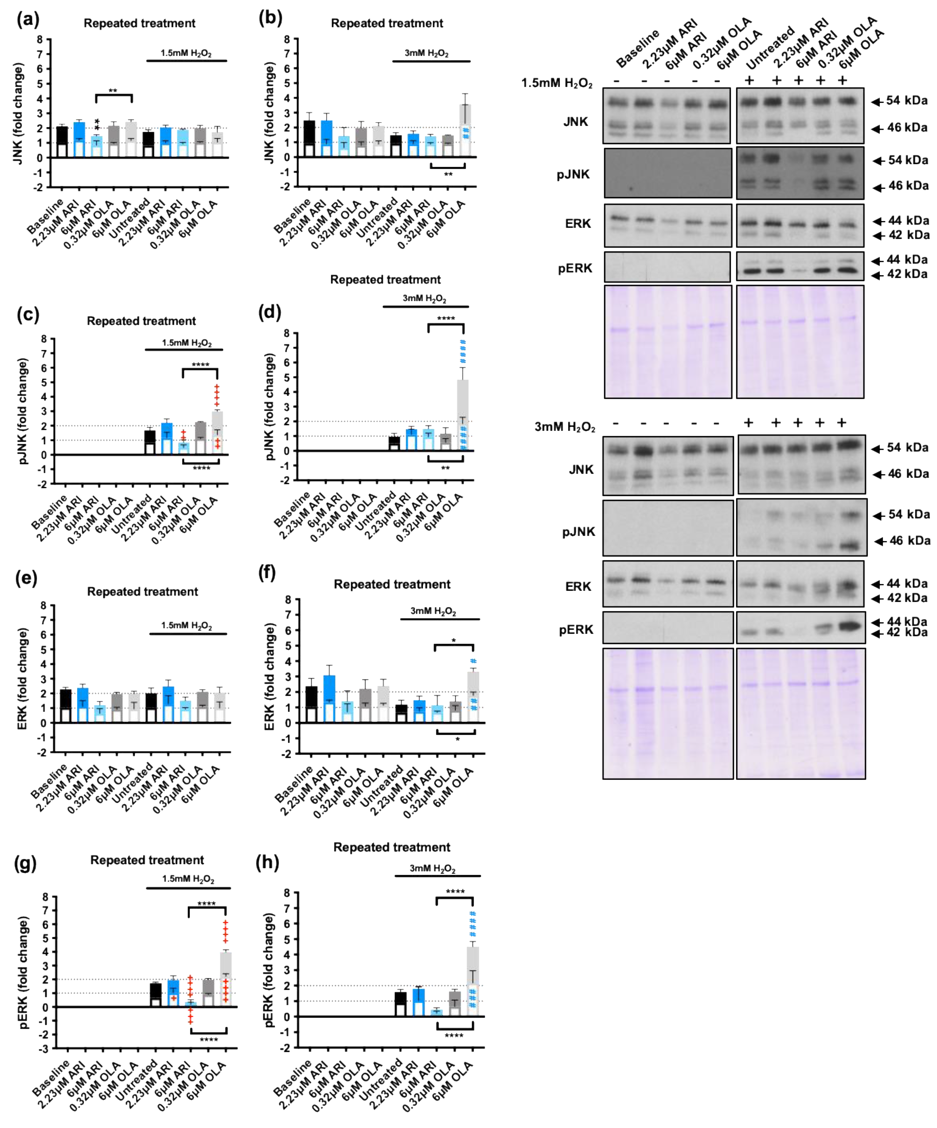 Preprints 110793 g005