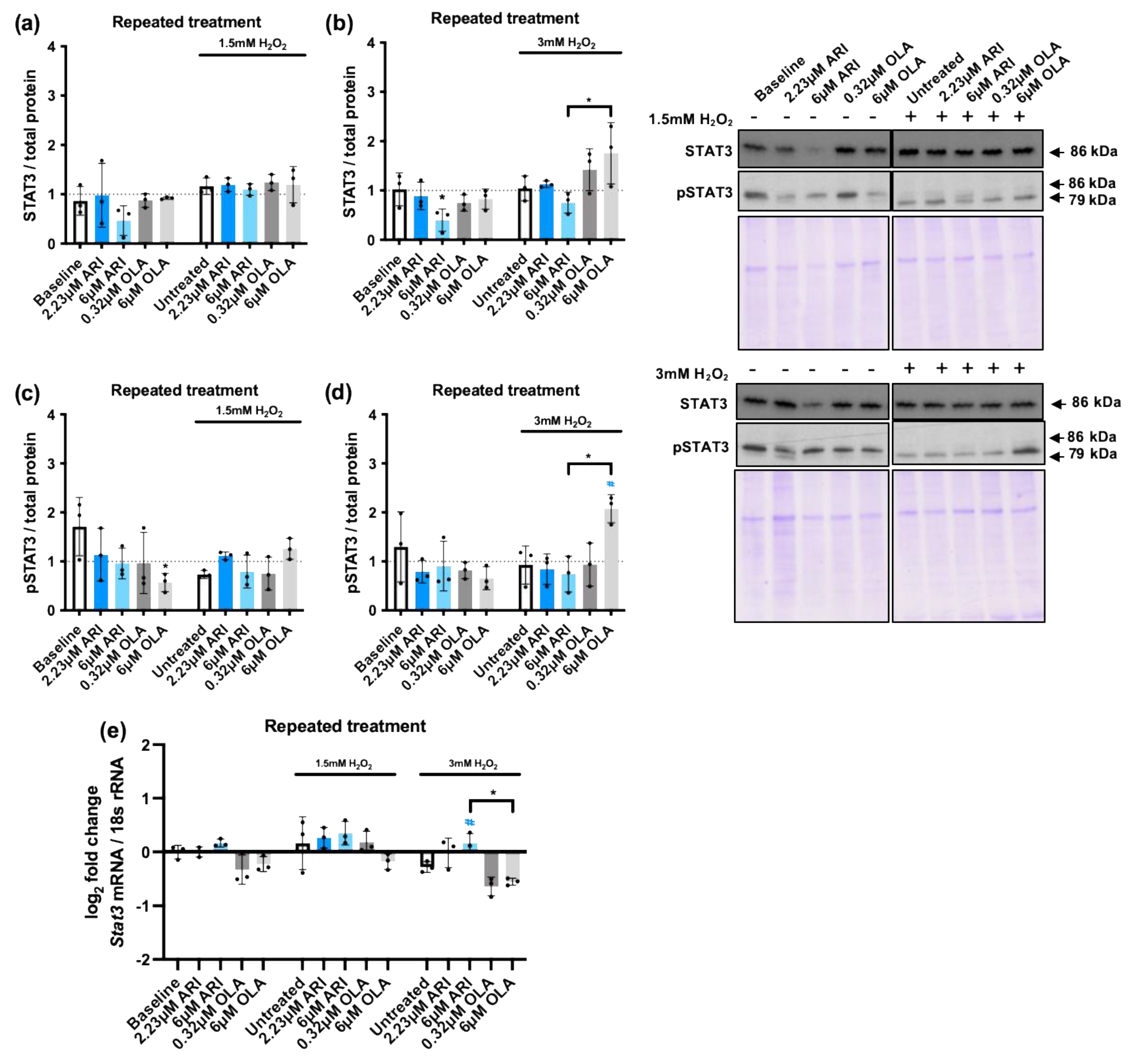 Preprints 110793 g006