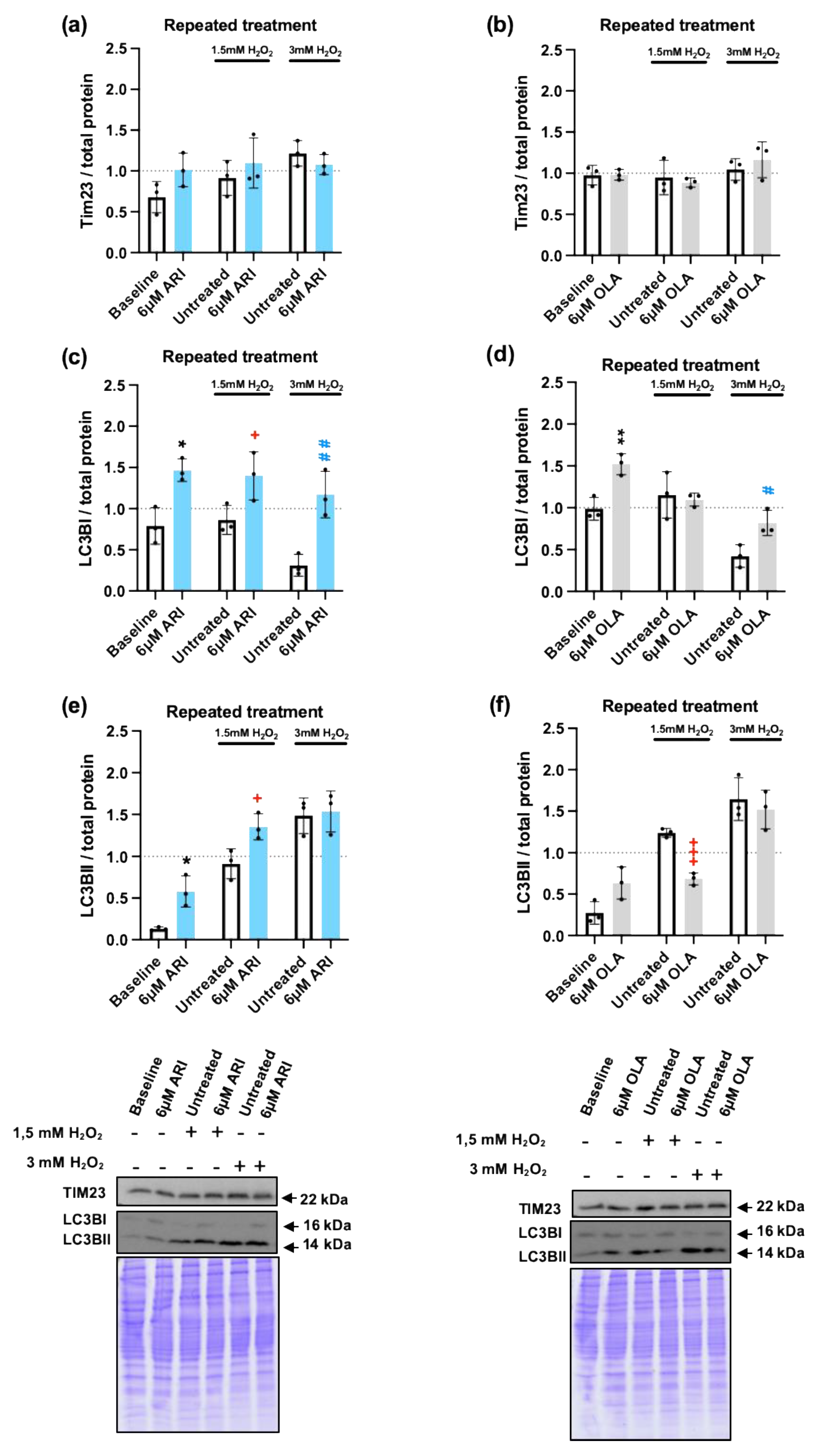 Preprints 110793 g007