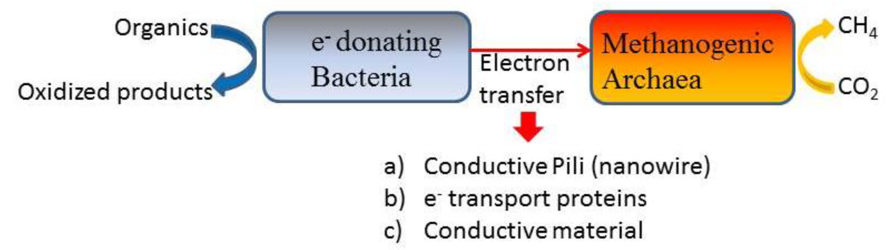 Preprints 95331 g006