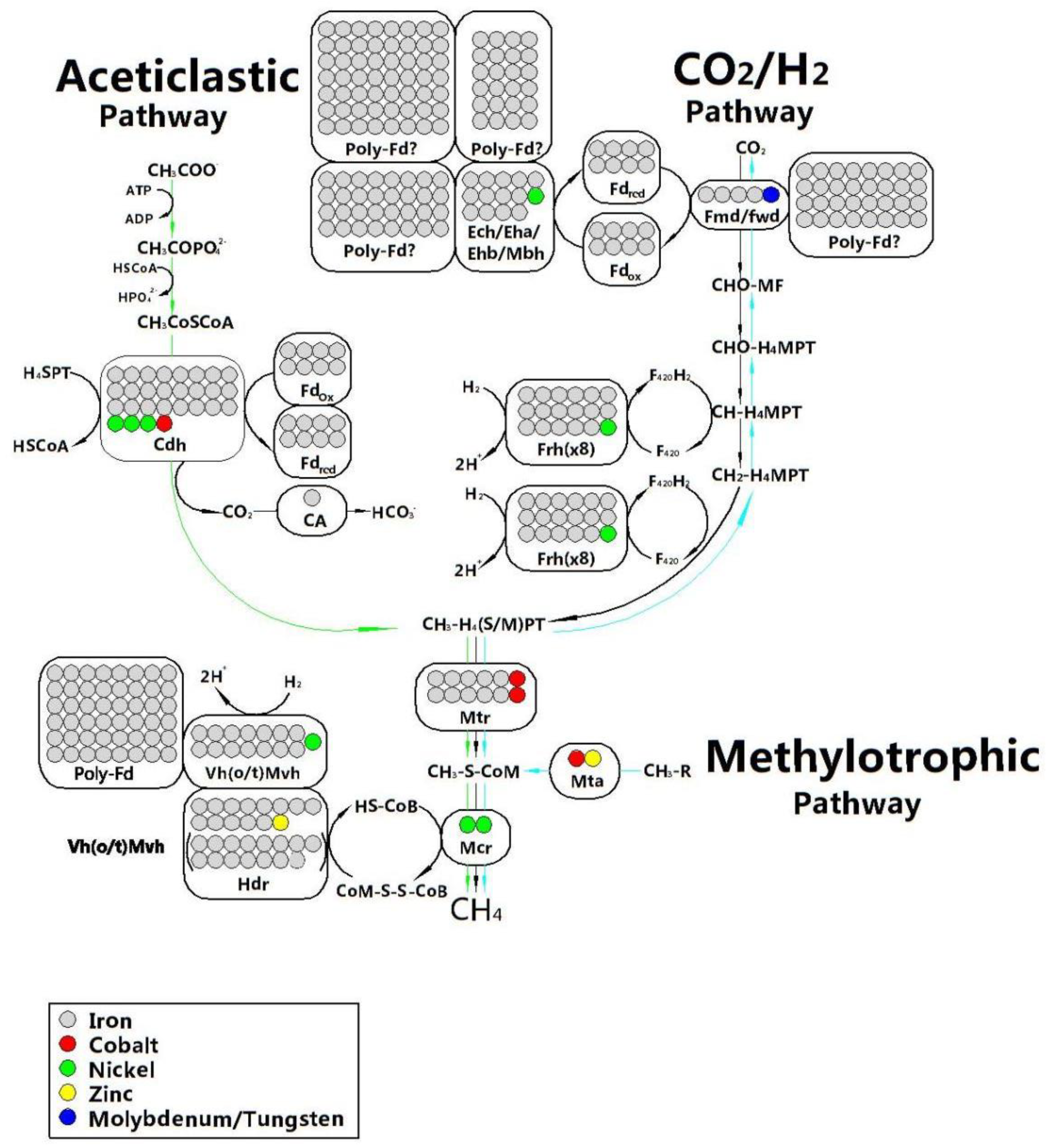 Preprints 95331 g007