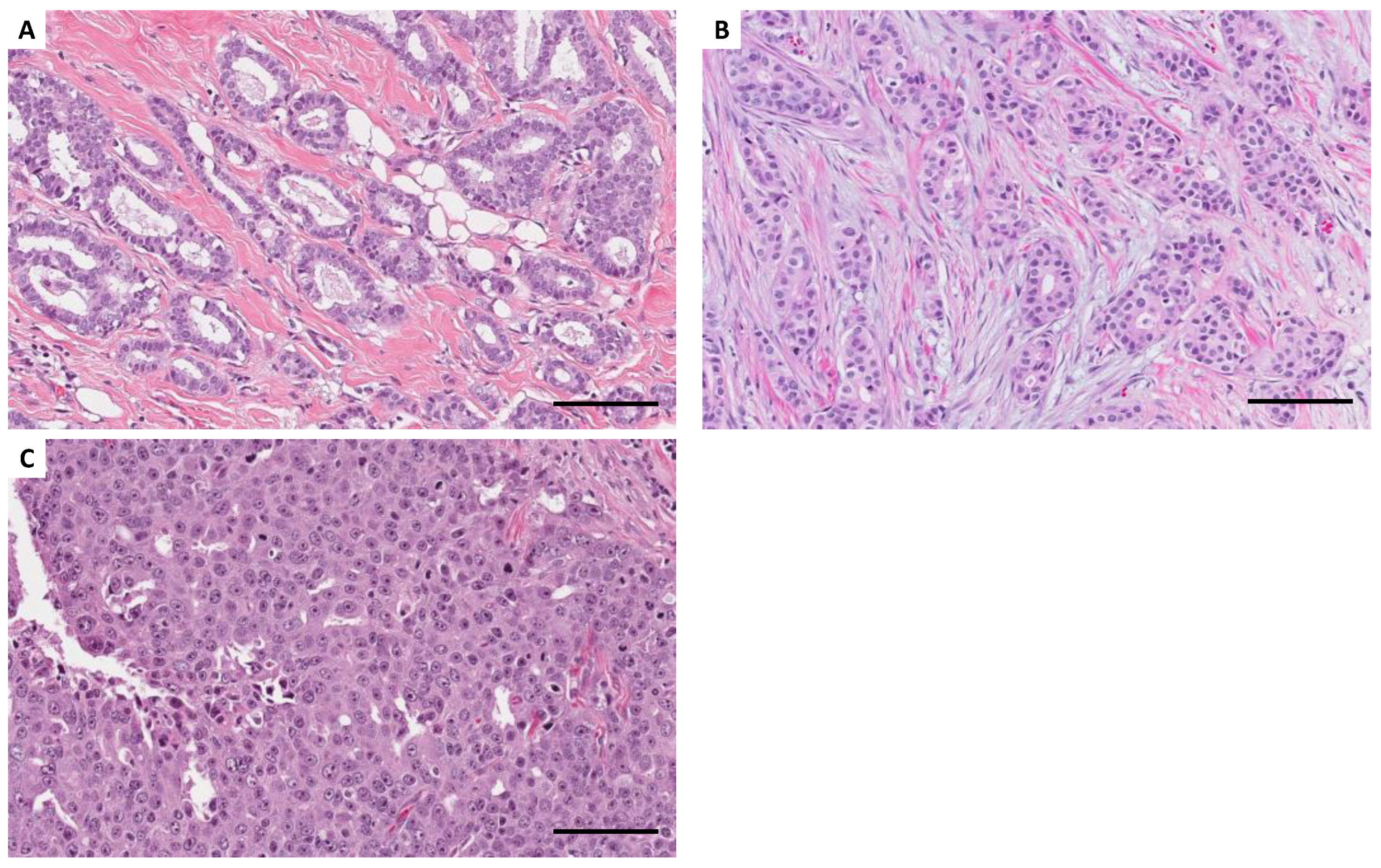 Preprints 91278 g001