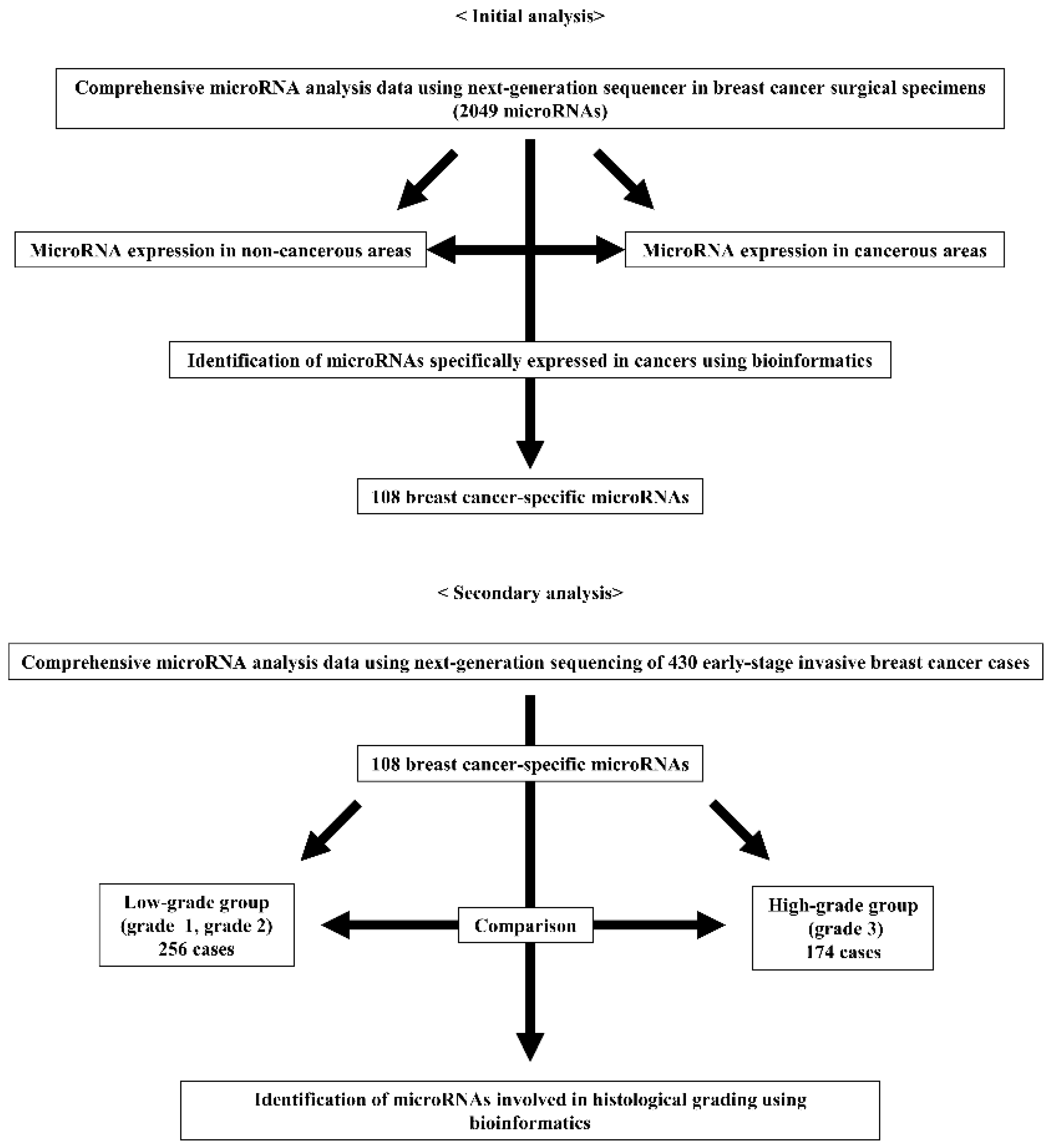 Preprints 91278 g004