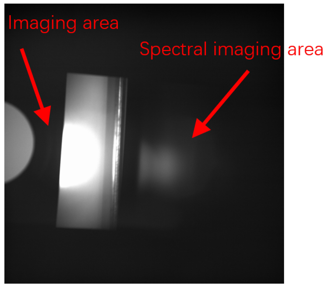 Preprints 104806 g014