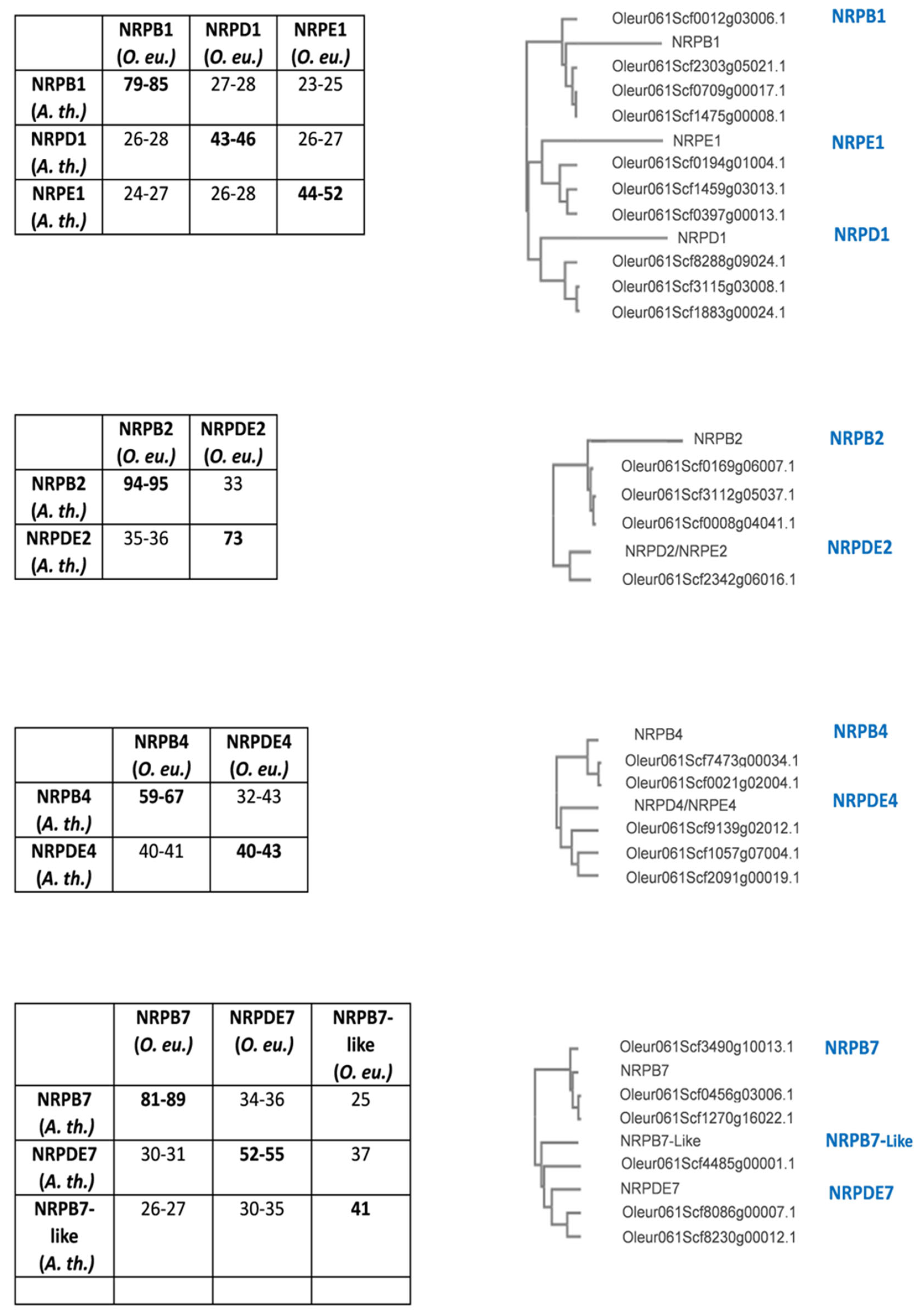 Preprints 91804 g002