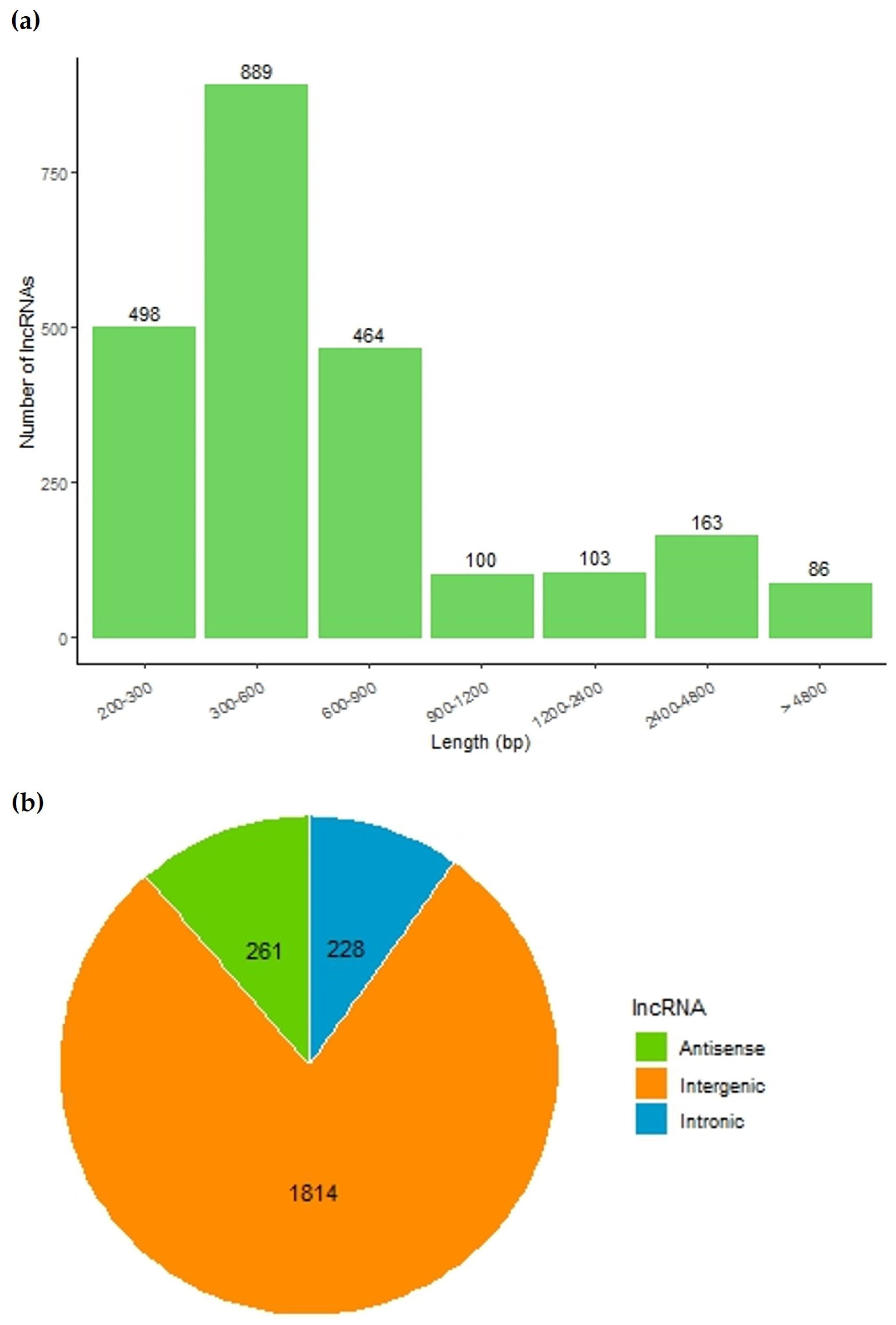 Preprints 91804 g005