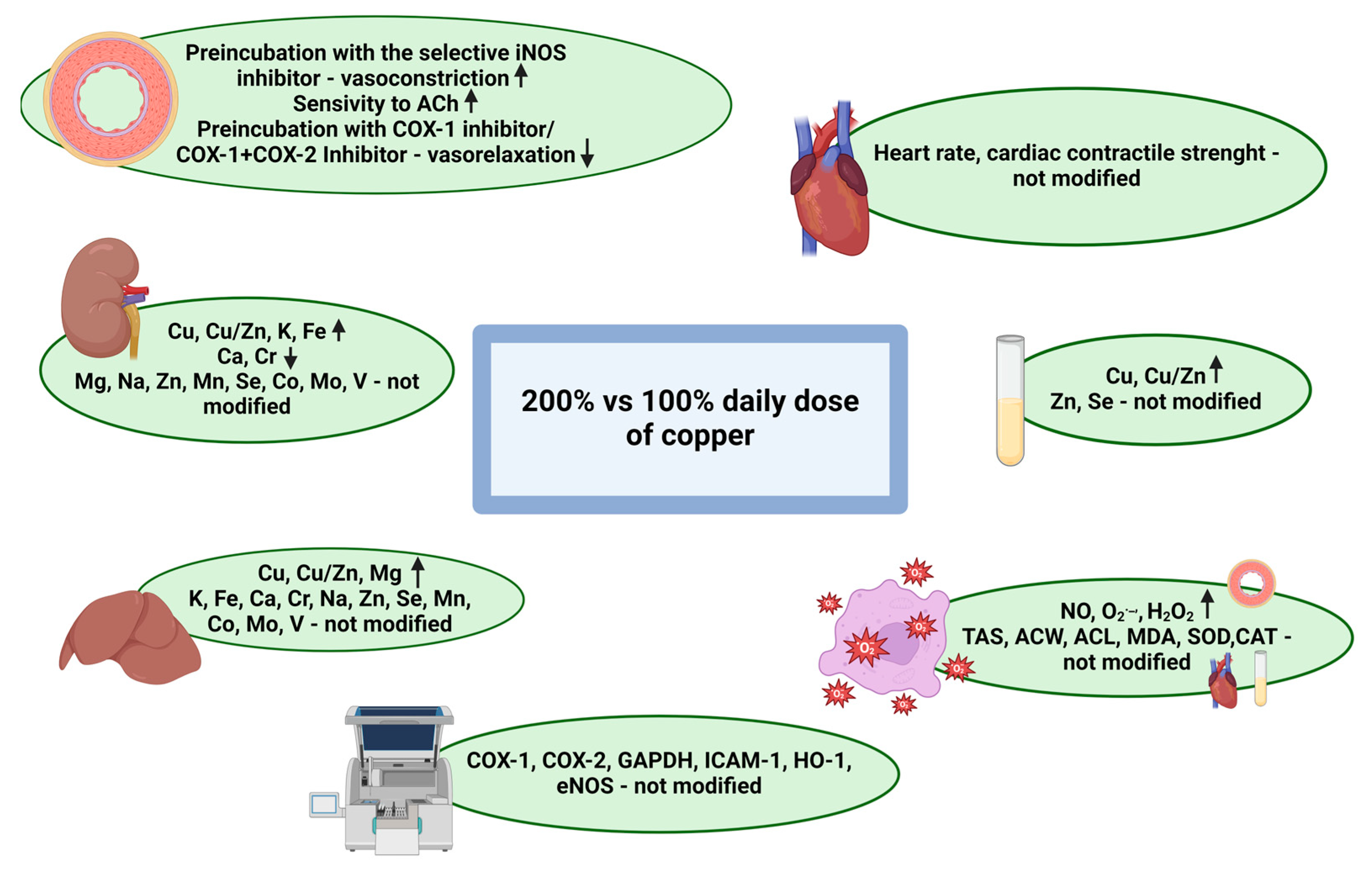 Preprints 120884 g005