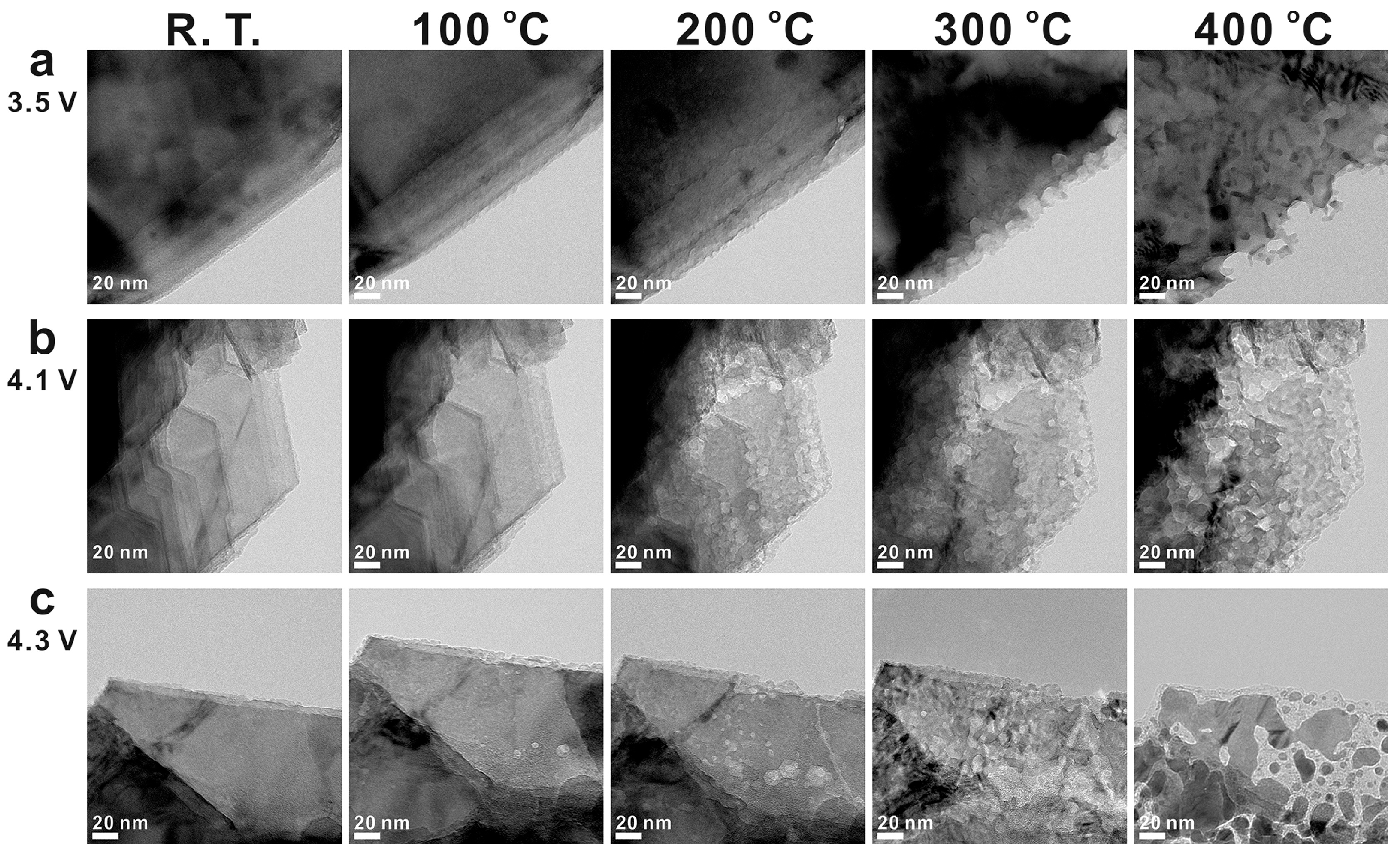 Preprints 113896 g009