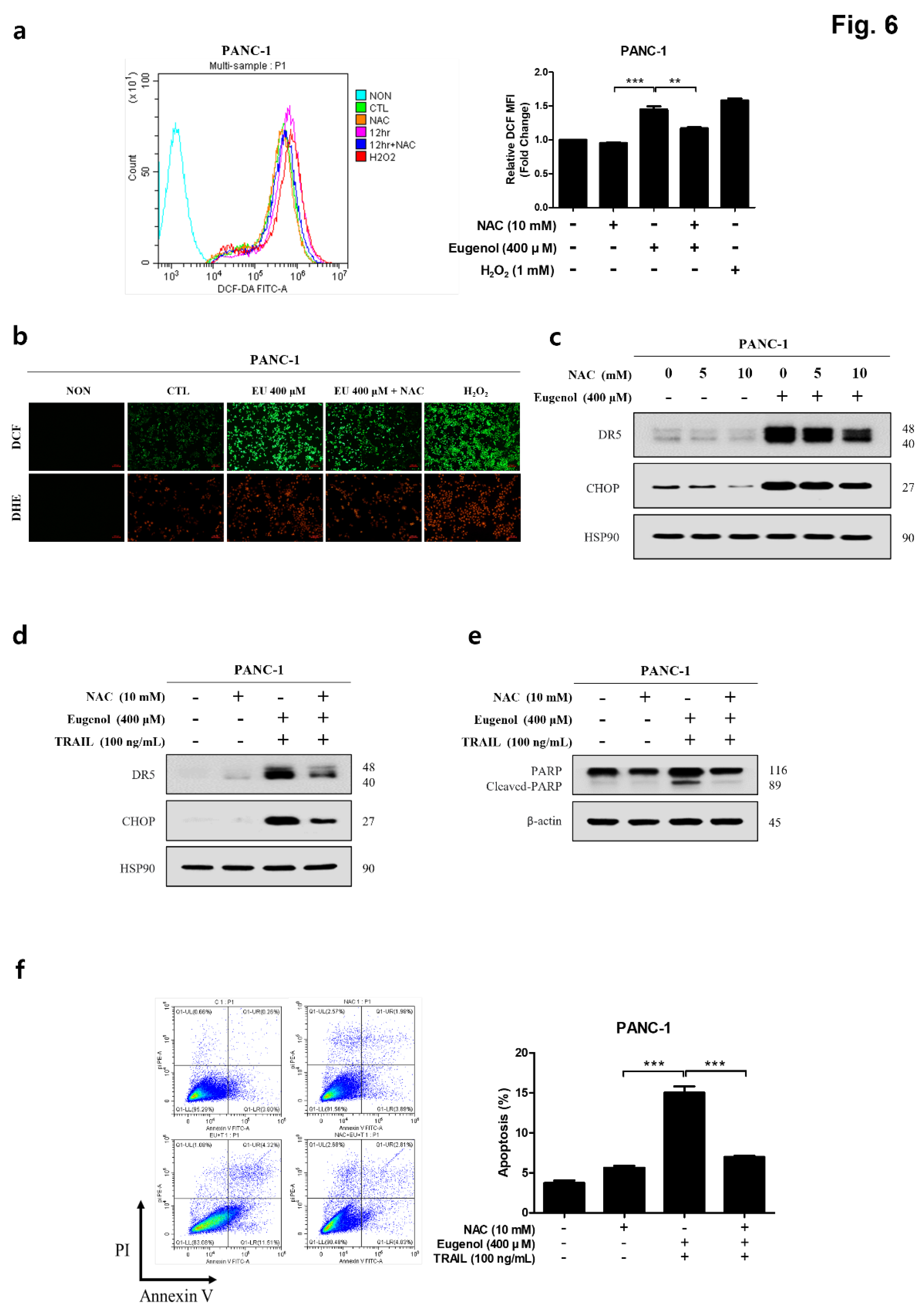 Preprints 113234 g006