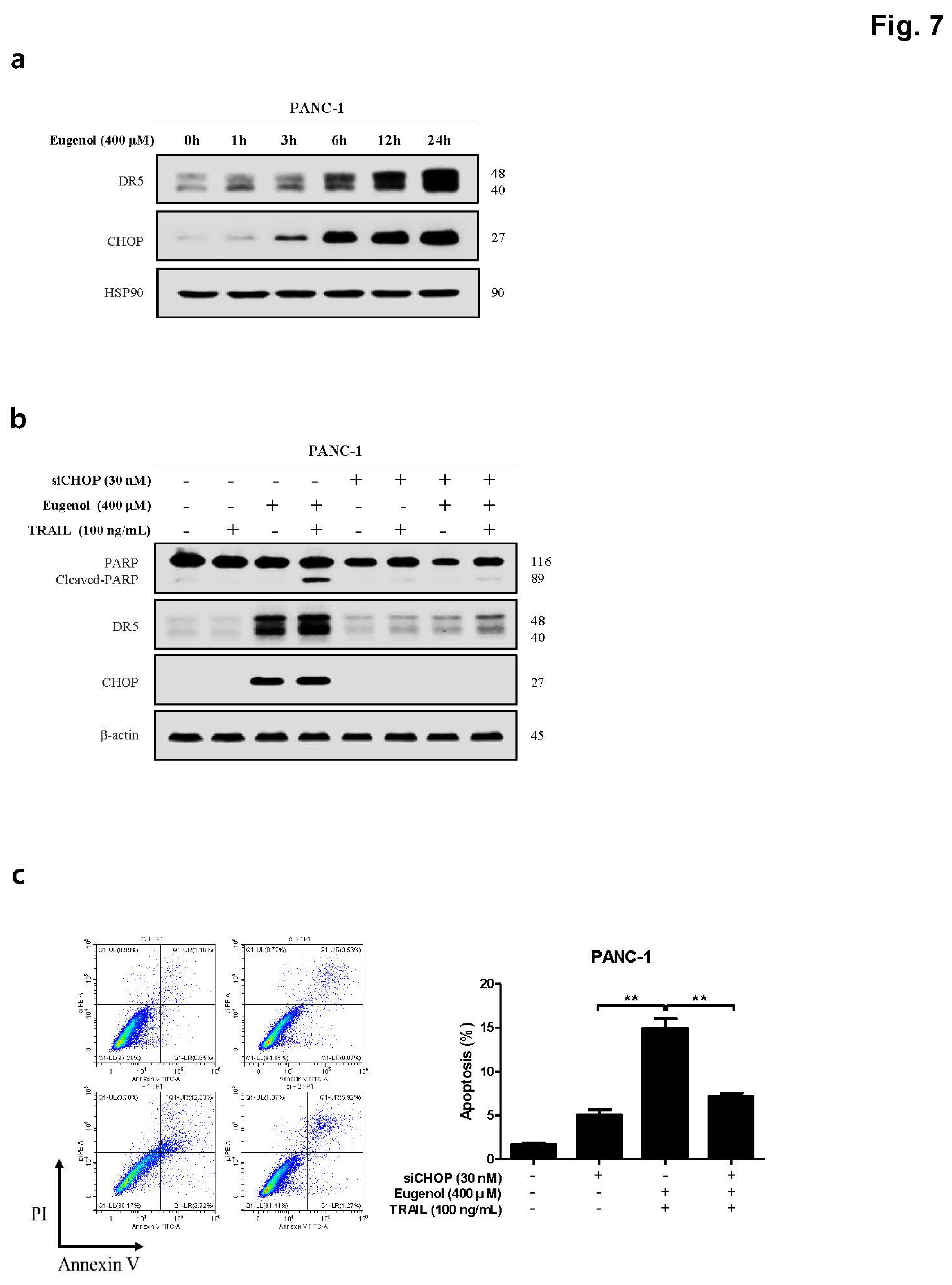 Preprints 113234 g007a