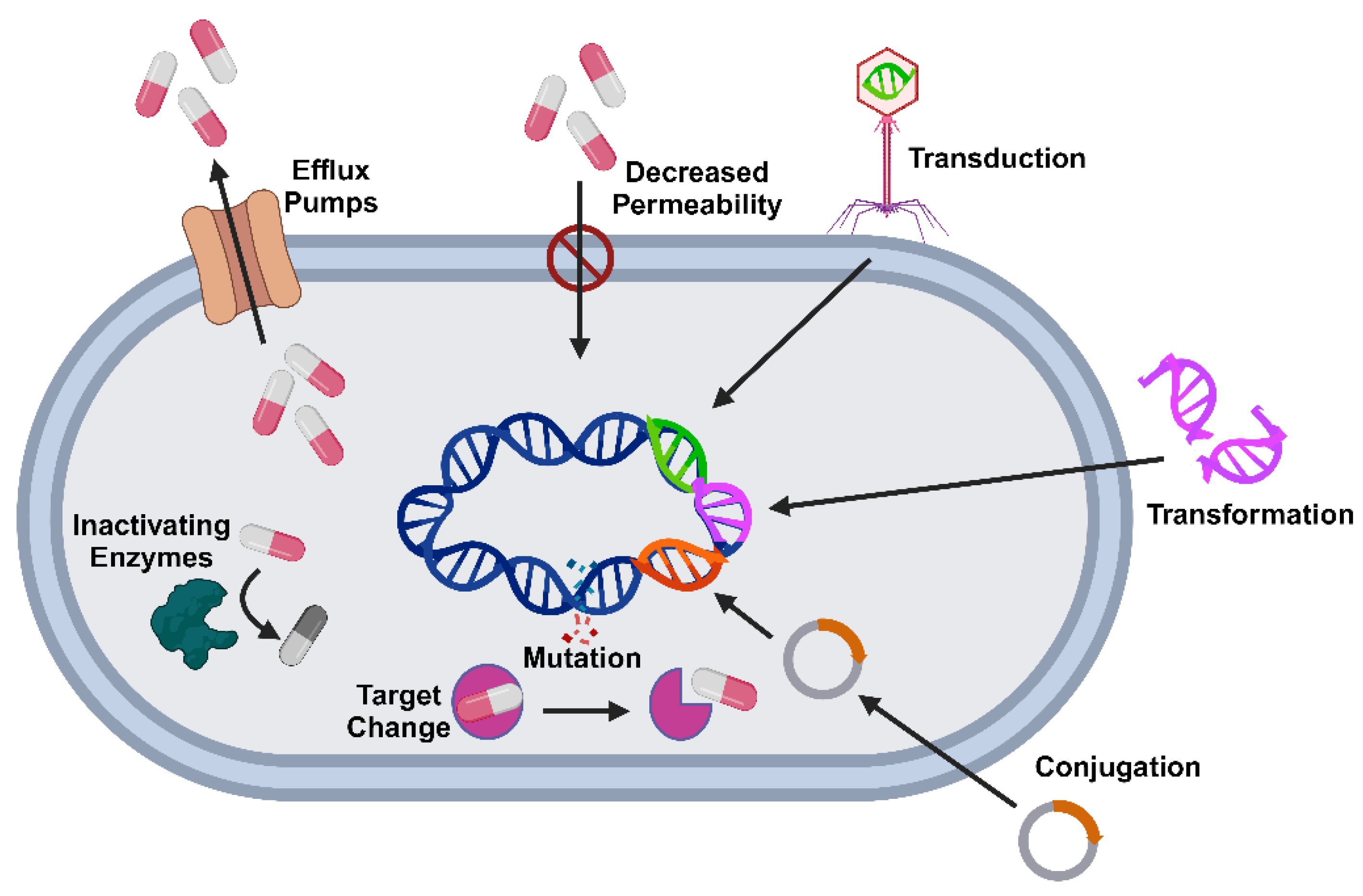 Preprints 118777 g001