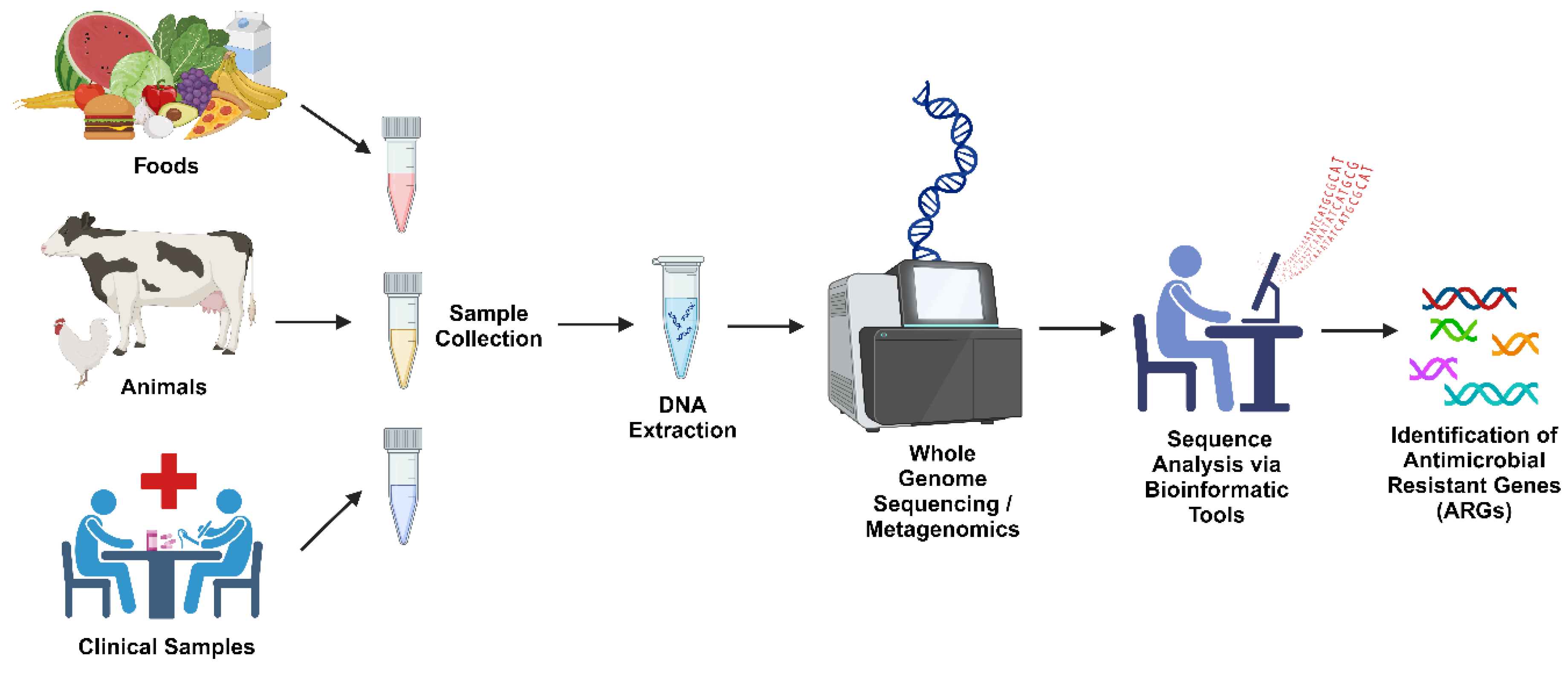 Preprints 118777 g002