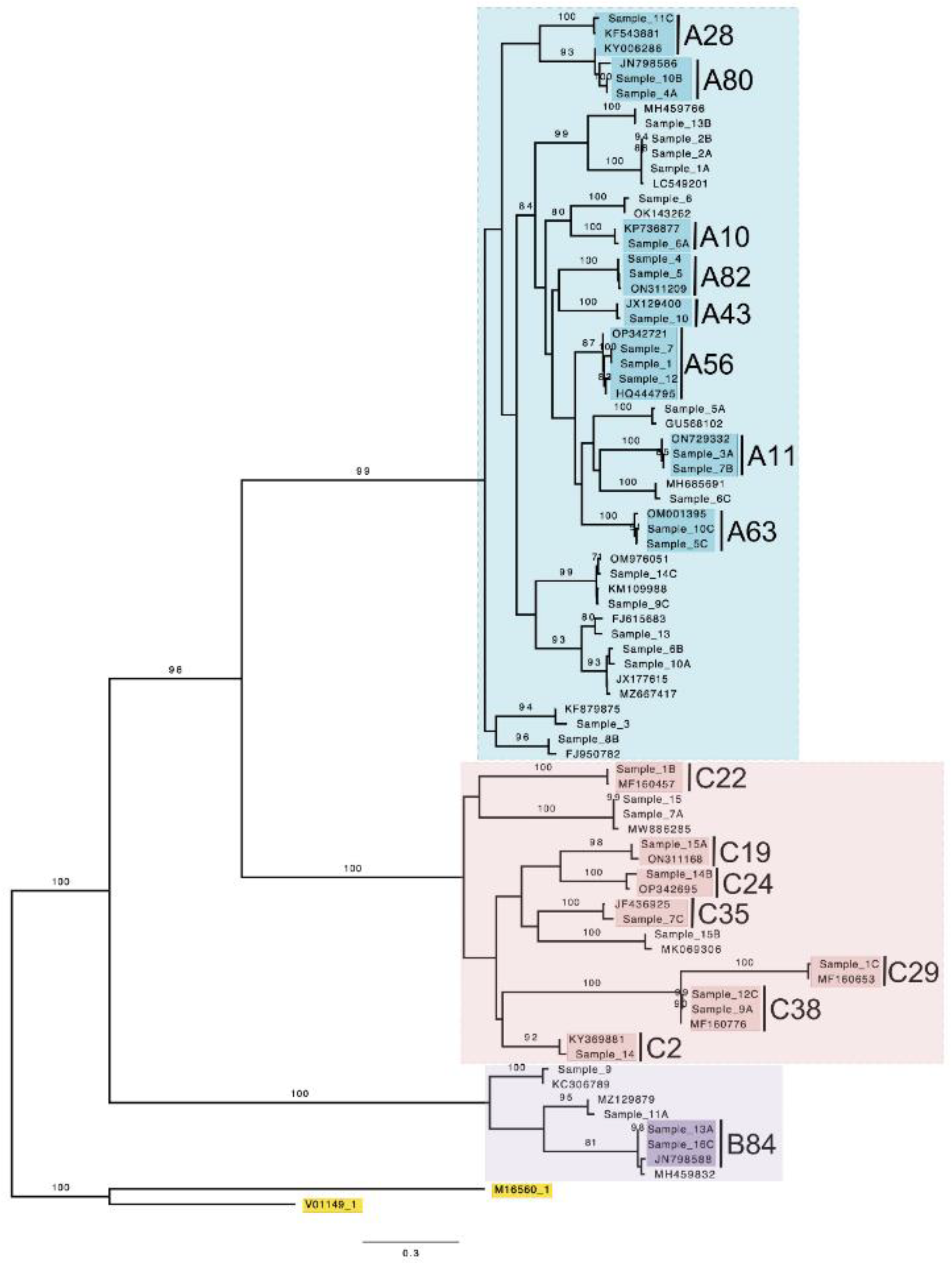 Preprints 103119 g001