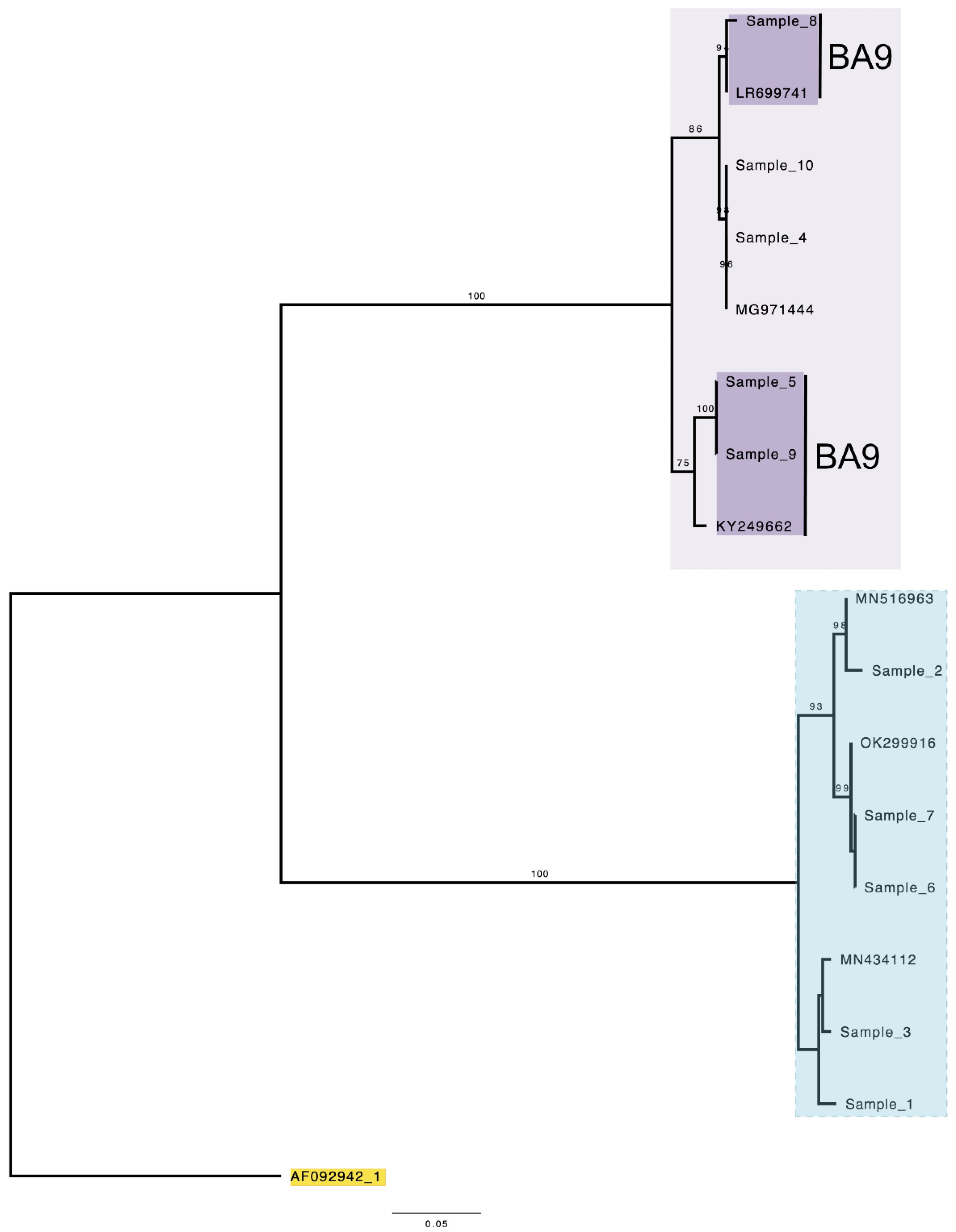 Preprints 103119 g002