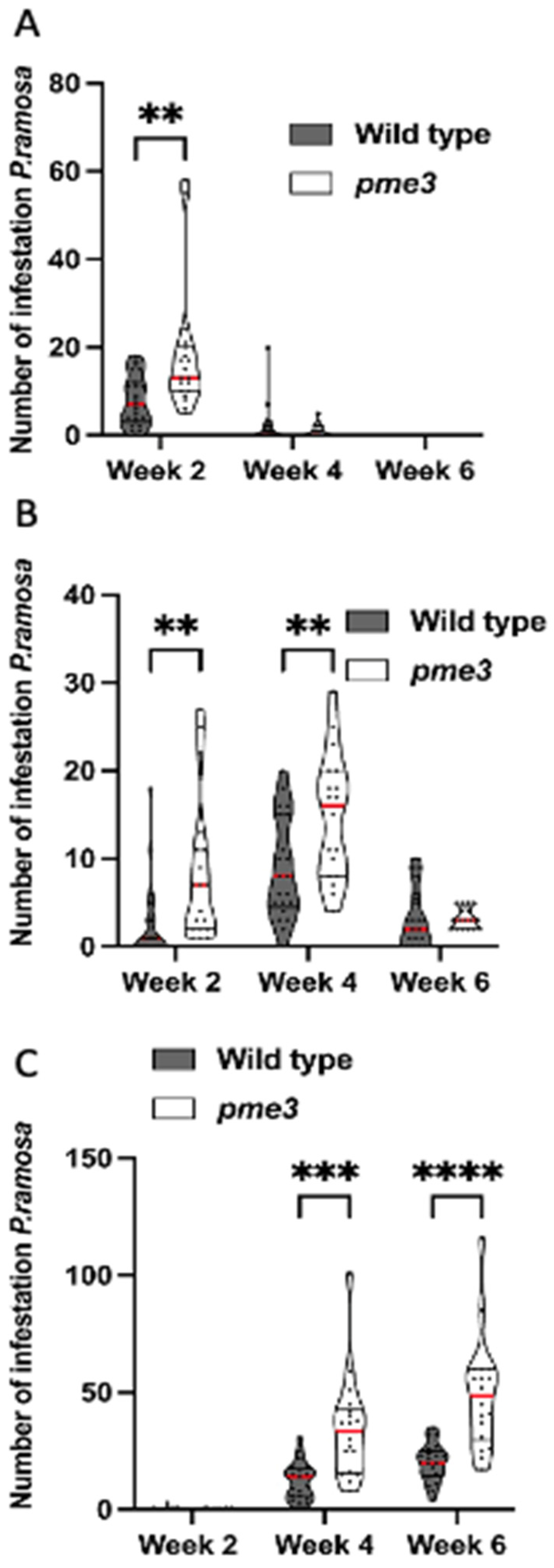 Preprints 112222 g002