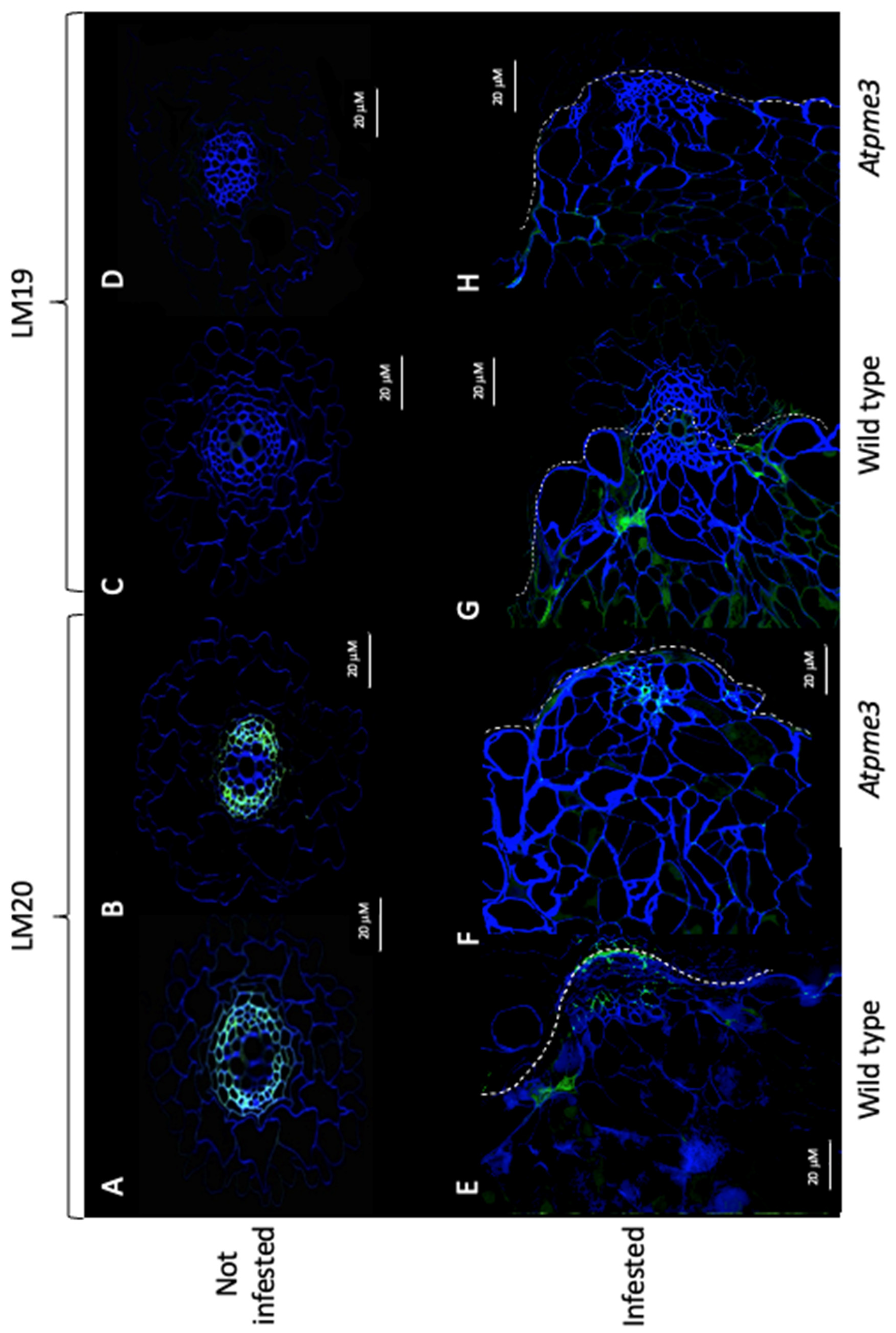 Preprints 112222 g003