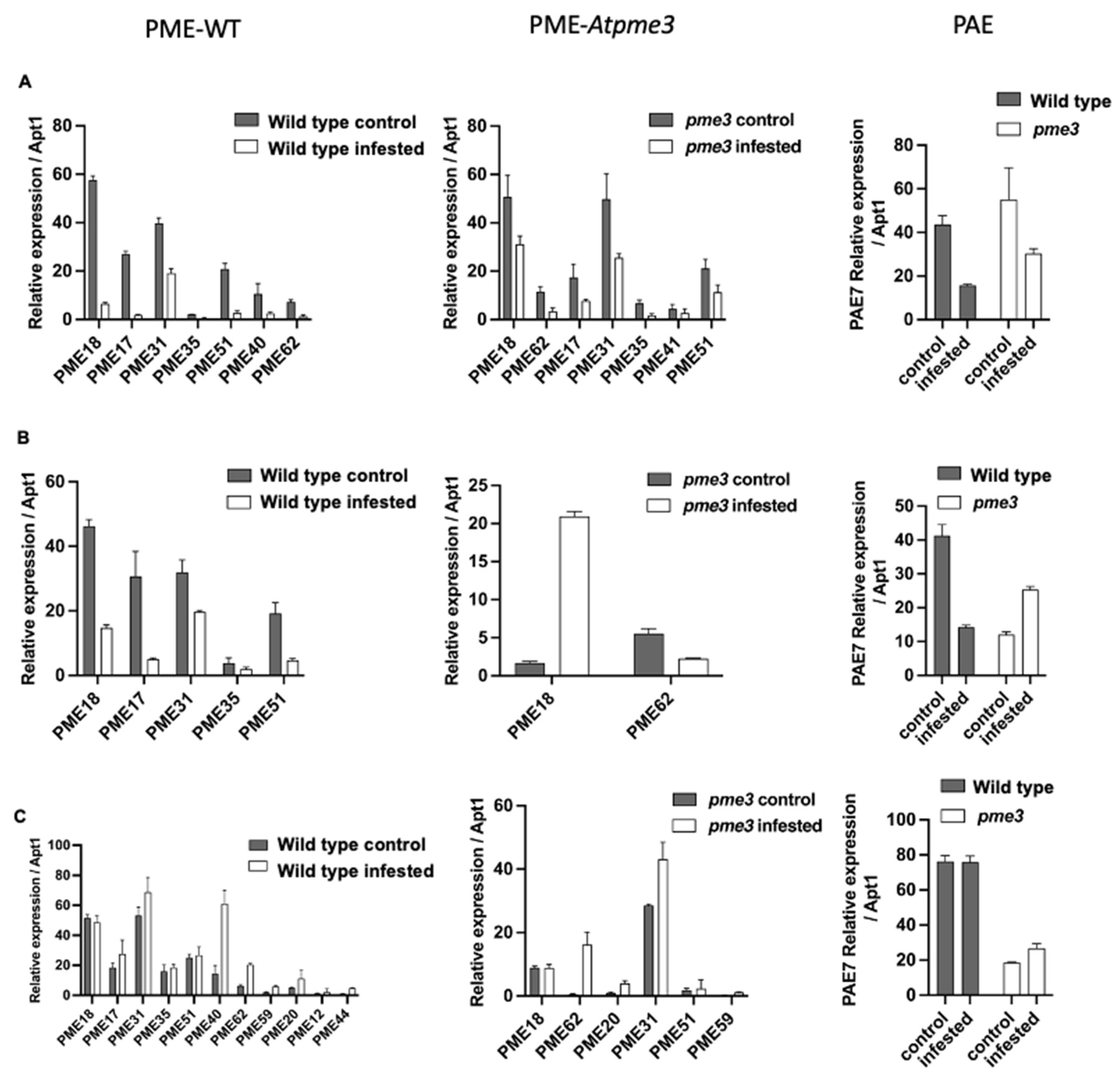 Preprints 112222 g004