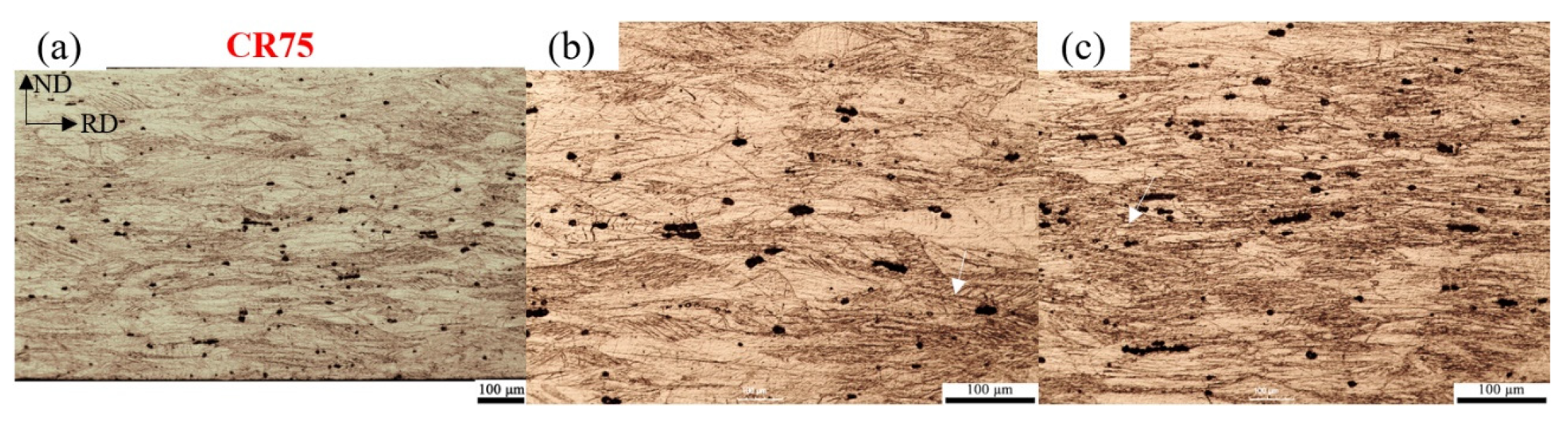 Preprints 104853 g004