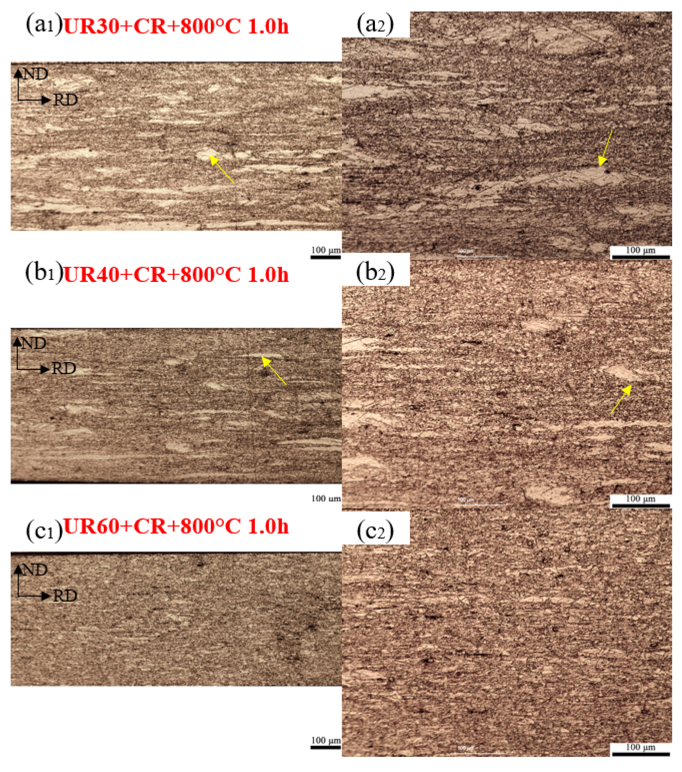 Preprints 104853 g009a