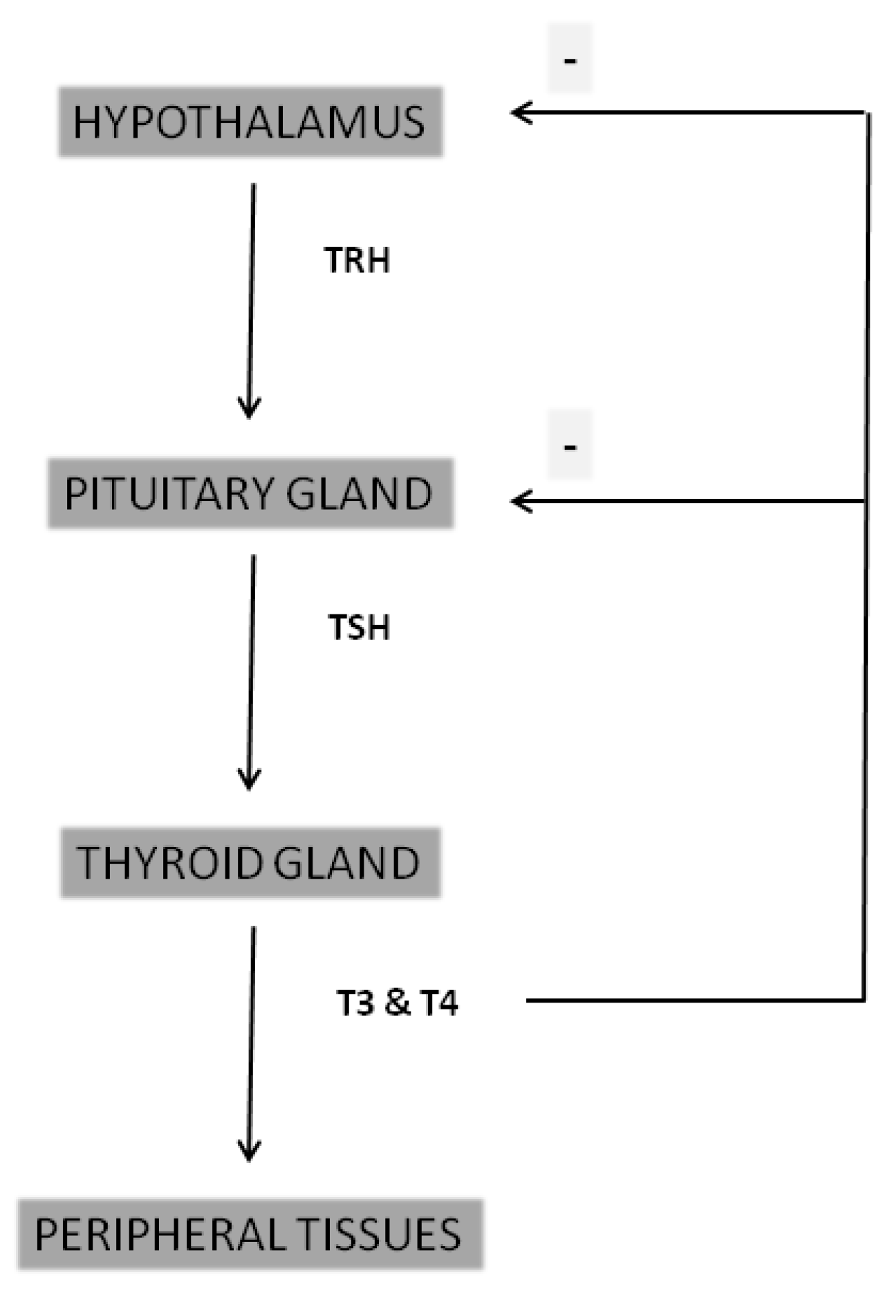 Preprints 94827 g001