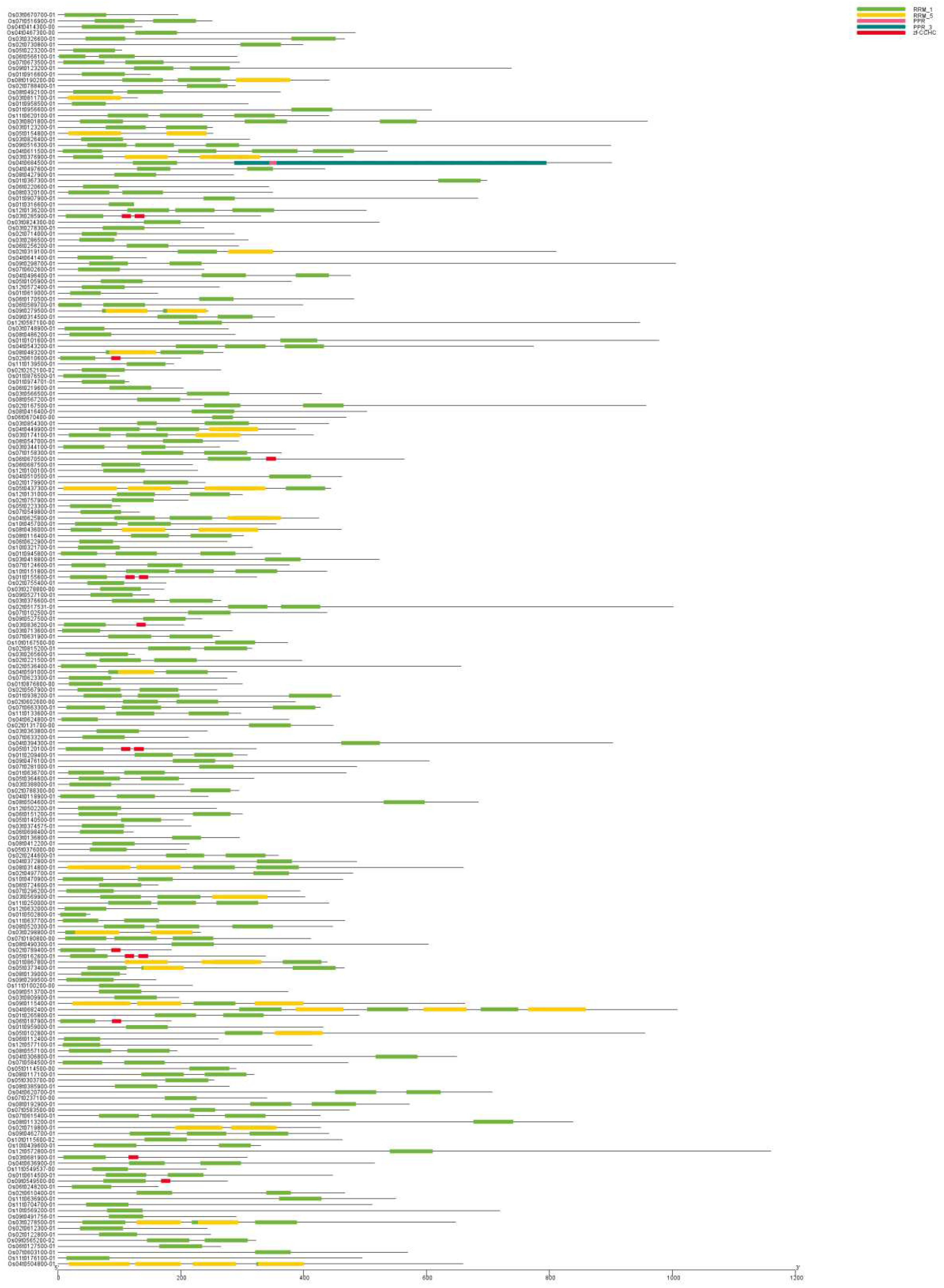 Preprints 83161 g001